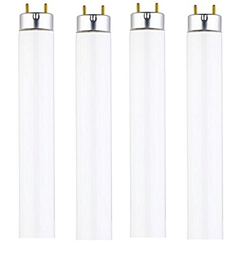 DYSMIO Lighting F15T8-CW 15-Watt 18-inch 4100K 825 Lumen Medium Bi-Pin Base T8 Fluorescent Straight Tube Bulb with Cool White Light- 4 Pack - Good