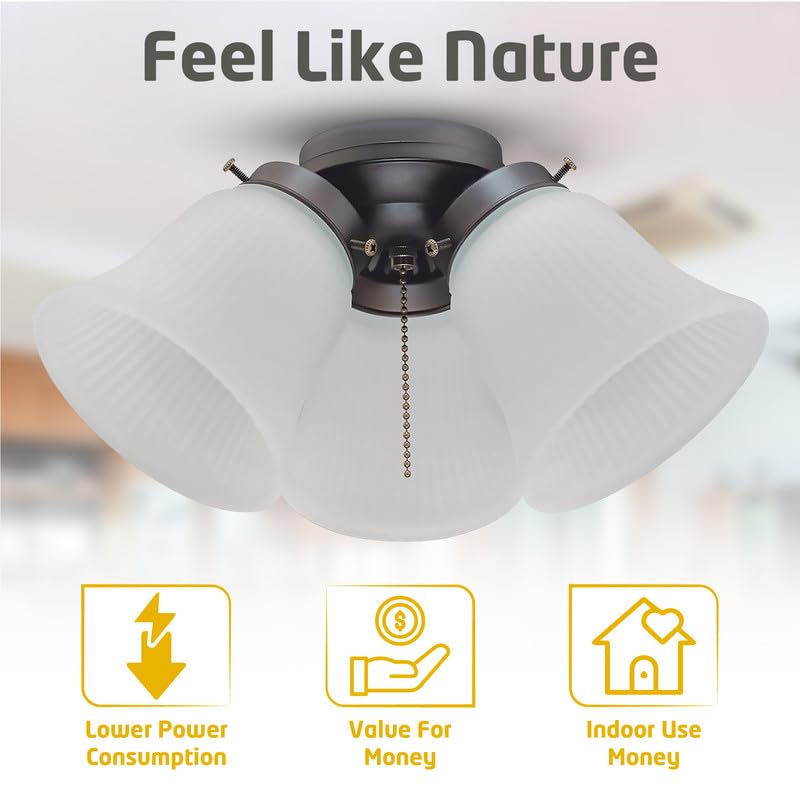 Ciata Light Kits  - Like New