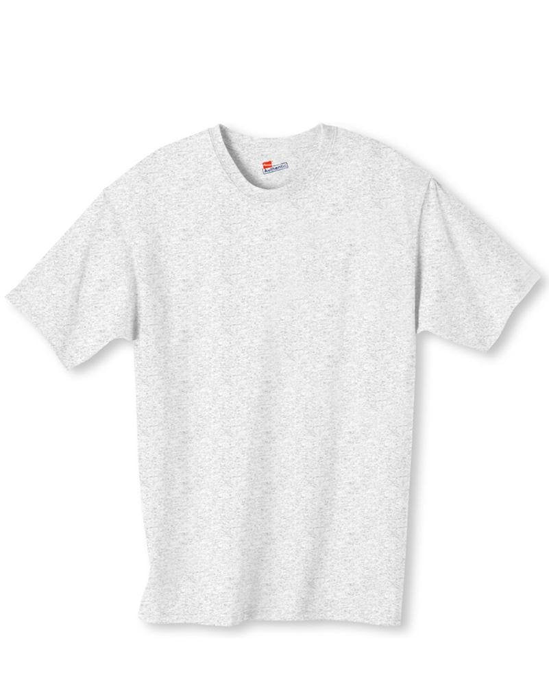 Hanes Tagless t-Shirt (5250T)