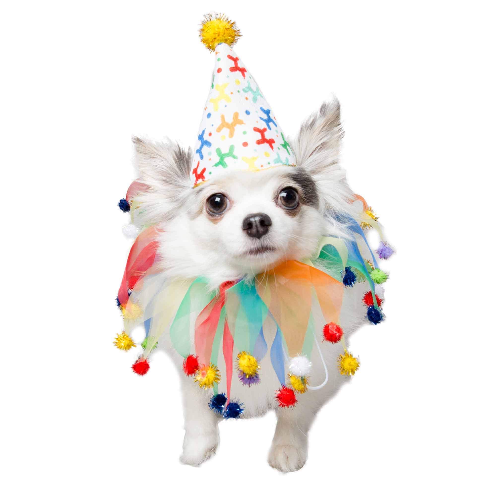 Pet Krewe Dog Clown Costume Happy Birthday Hat & Collar Outfit | 1st Bday Party, National Cat Day, Photo Shoots & Celebrations | Doggie & Puppy Clothes | Ideal Gift for Small, Medium & Large Pets - Like New