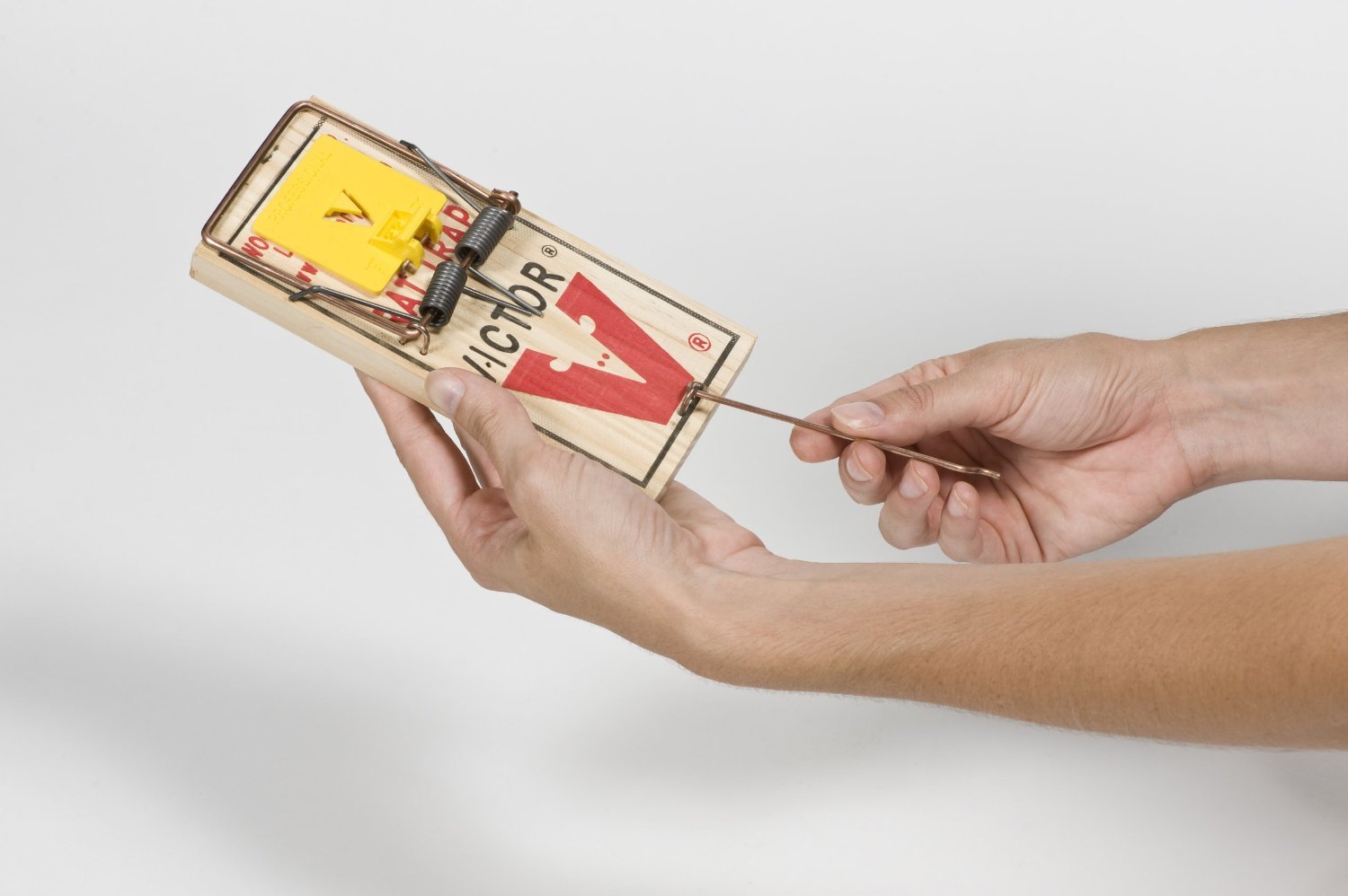 Victor Rat Traps M326 (Pack of 12) - Includes The SJ pest Guide eBook - Like New