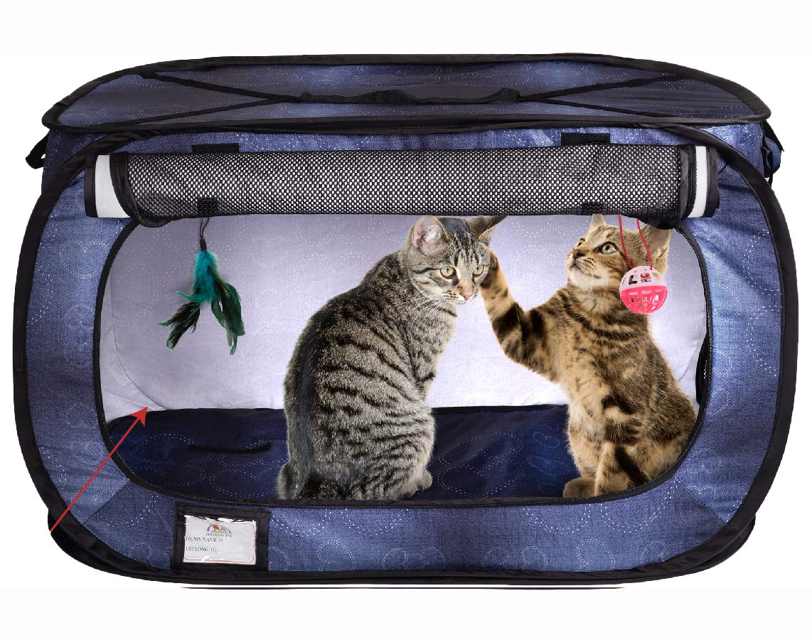 CHEERING PET, Cat Cage, Portable Stress Free Cat Condo, Hanging Feather Teaser and Ball, Carrying Bag, Extra Large 32" X 19" X 19"  - Like New