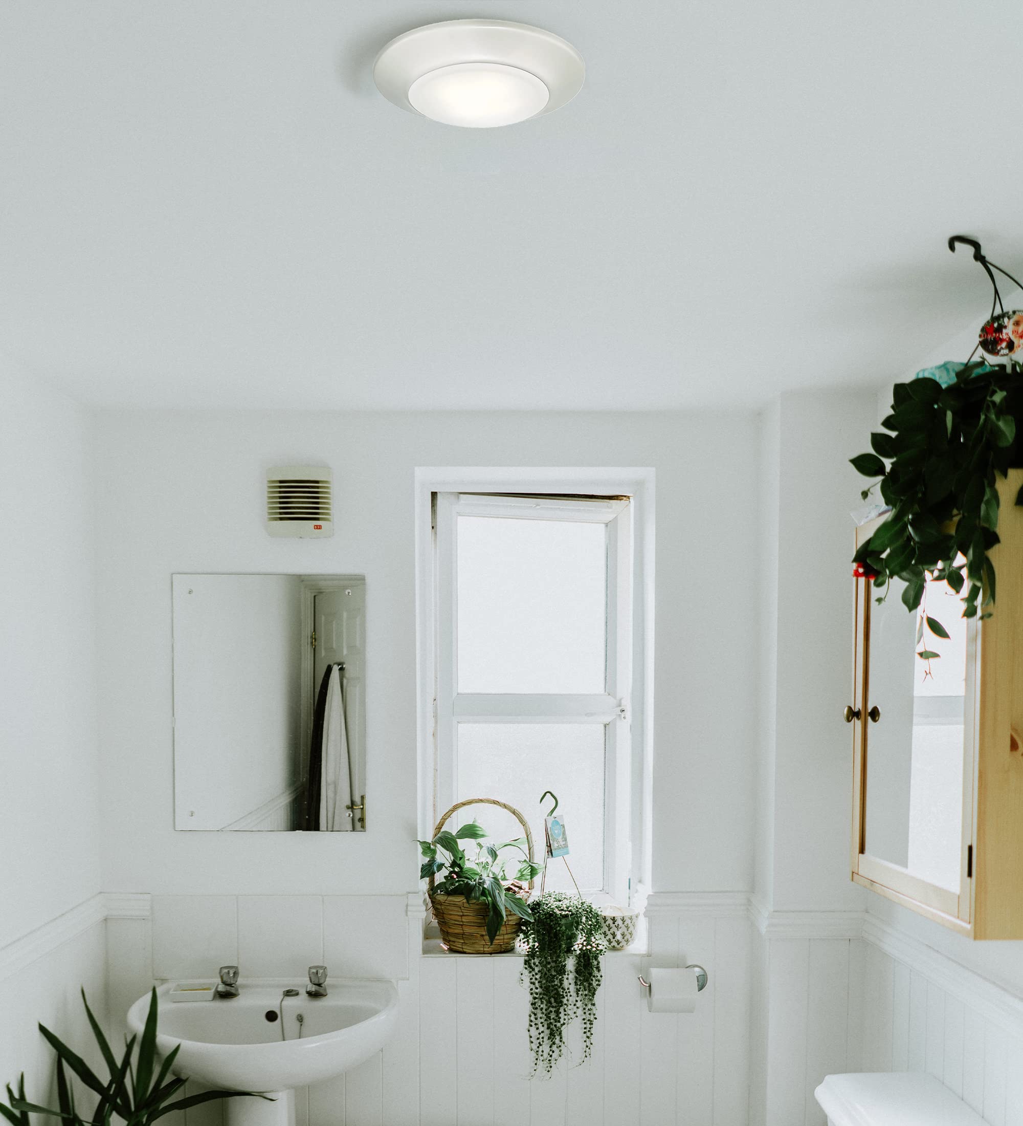 Ciata Lighting Dimmable Indoor/Outdoor LED Surface Mount for Wet Location with Frosted Lens  - Like New