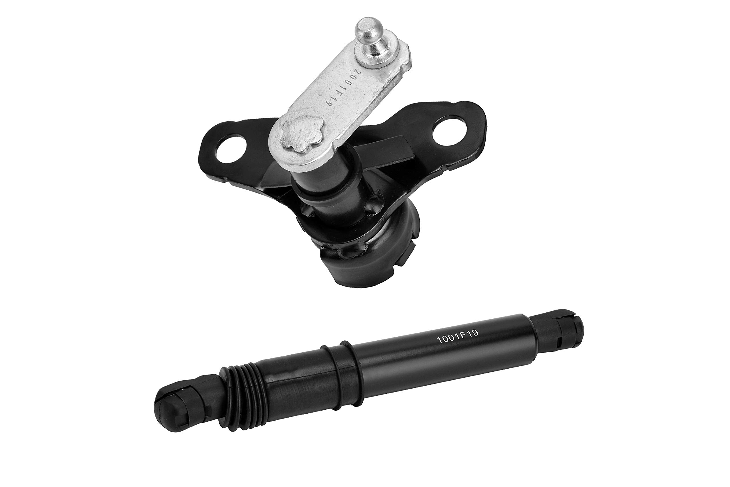 Tailgate Damper Kit - Compatible with Ford F-150 2015, 2016, 2017, 2018, 2019, F-150 Raptor 2017-2019 - Replaces FL3Z-99406A10-A, FL3Z99406A10A - Tail gate Assist Shock Strut - Lift Support Kit - Like New