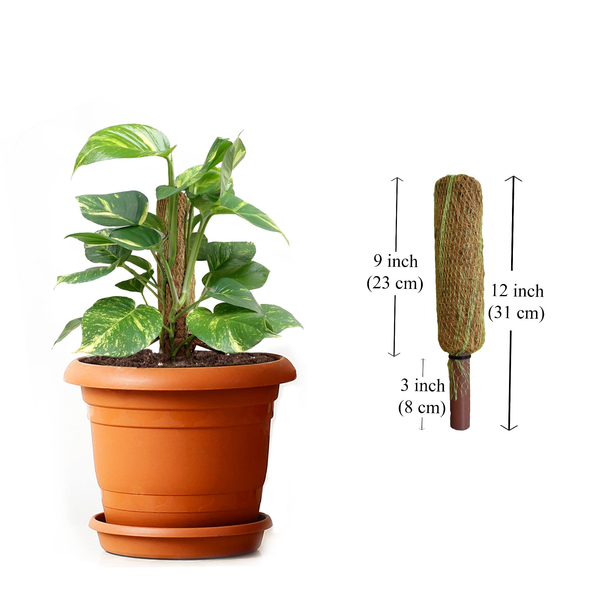 PALM NAKI Coconut Coir Totem Pole Plant Support Set of 4- Coco Coir Vertical Climbing Plant Support Sticks, Indoor & Outdoor Climber Sticks, Creeper Pole for House Plants (12 Inches)