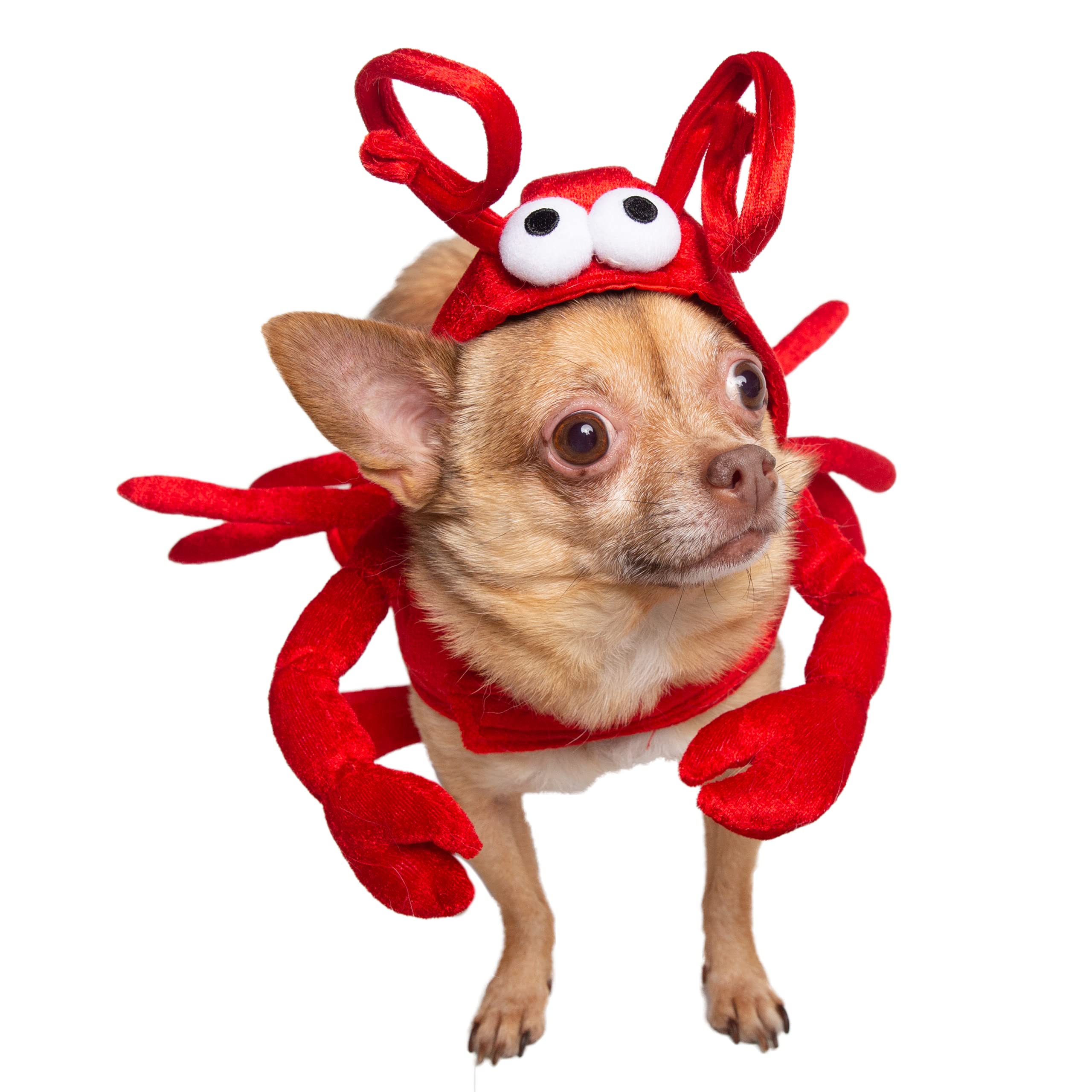 Pet Krewe Dog Lobster Costume | Fish Pet Costume for Dogs 1st Birthday, National Cat Day & Celebrations | Halloween Outfit for Small, Medium, Large & XL Cats & Dogs - Like New