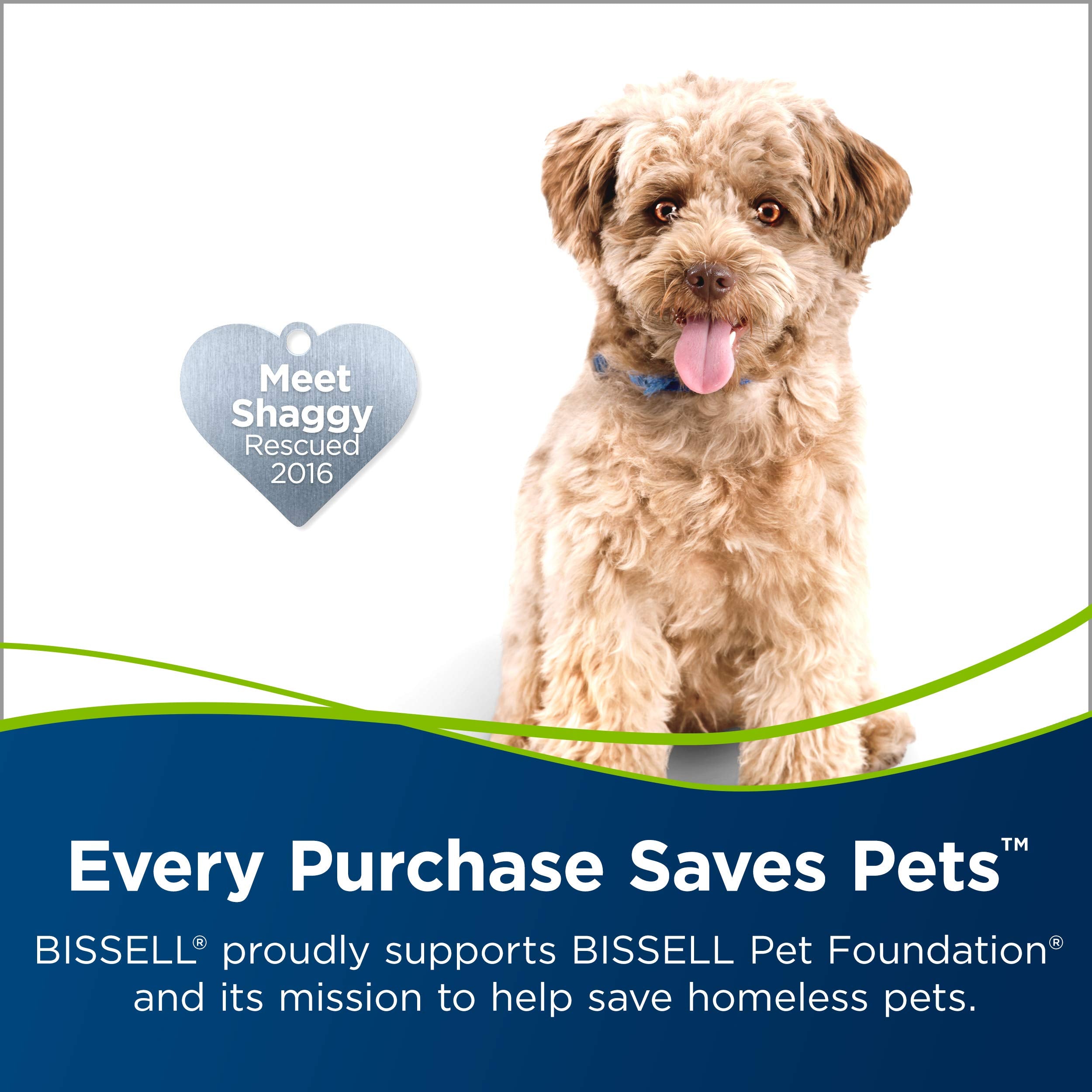 Bissell Turboclean Powerbrush Pet Upright Carpet Cleaner Machine and Carpet Shampooer - Acceptable