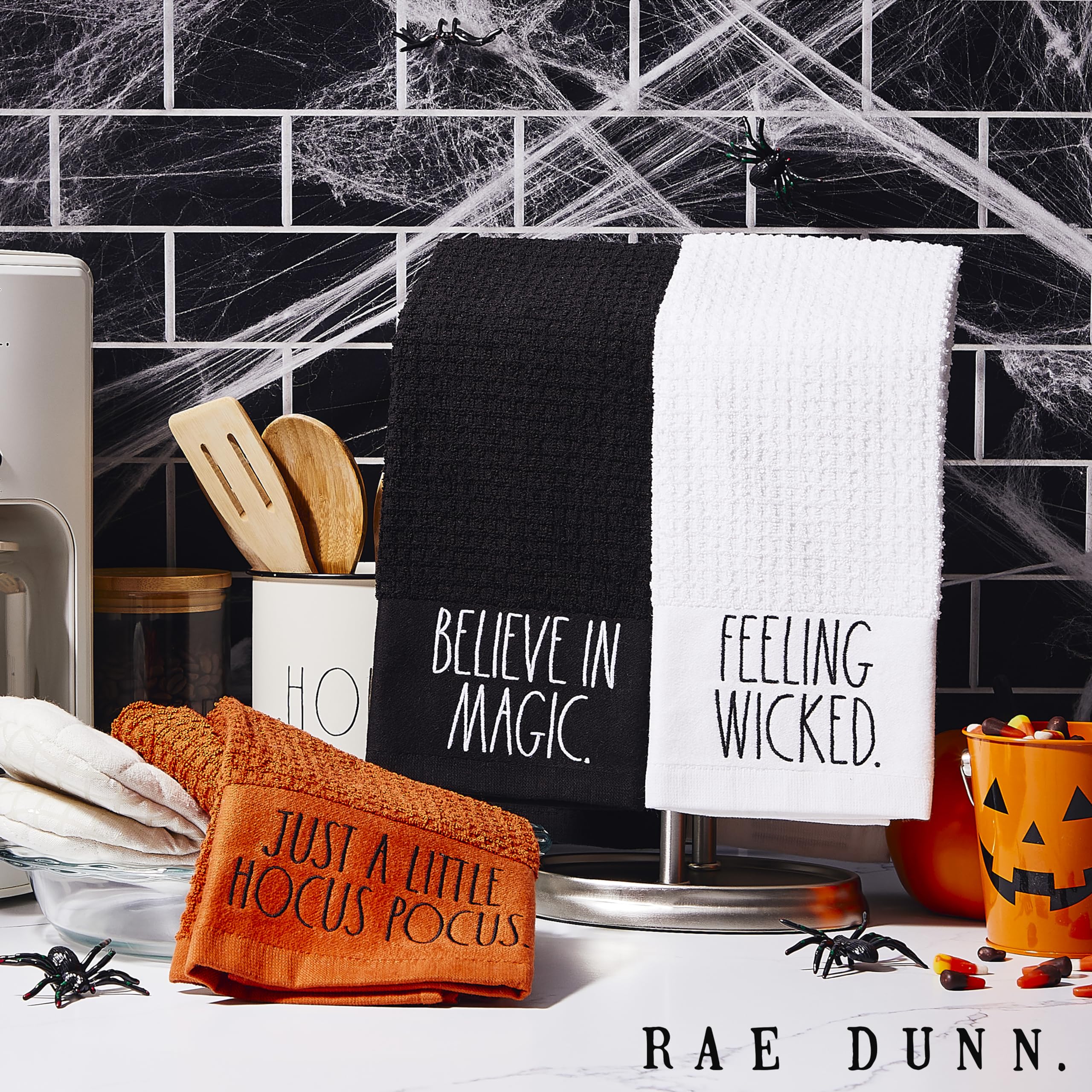 Rae Dunn Set of 2 Hand Towels for Kitchen and Bathroom, 100% Cotton, Embroidered Dish Towels, Decorative Hand Towels - Like New