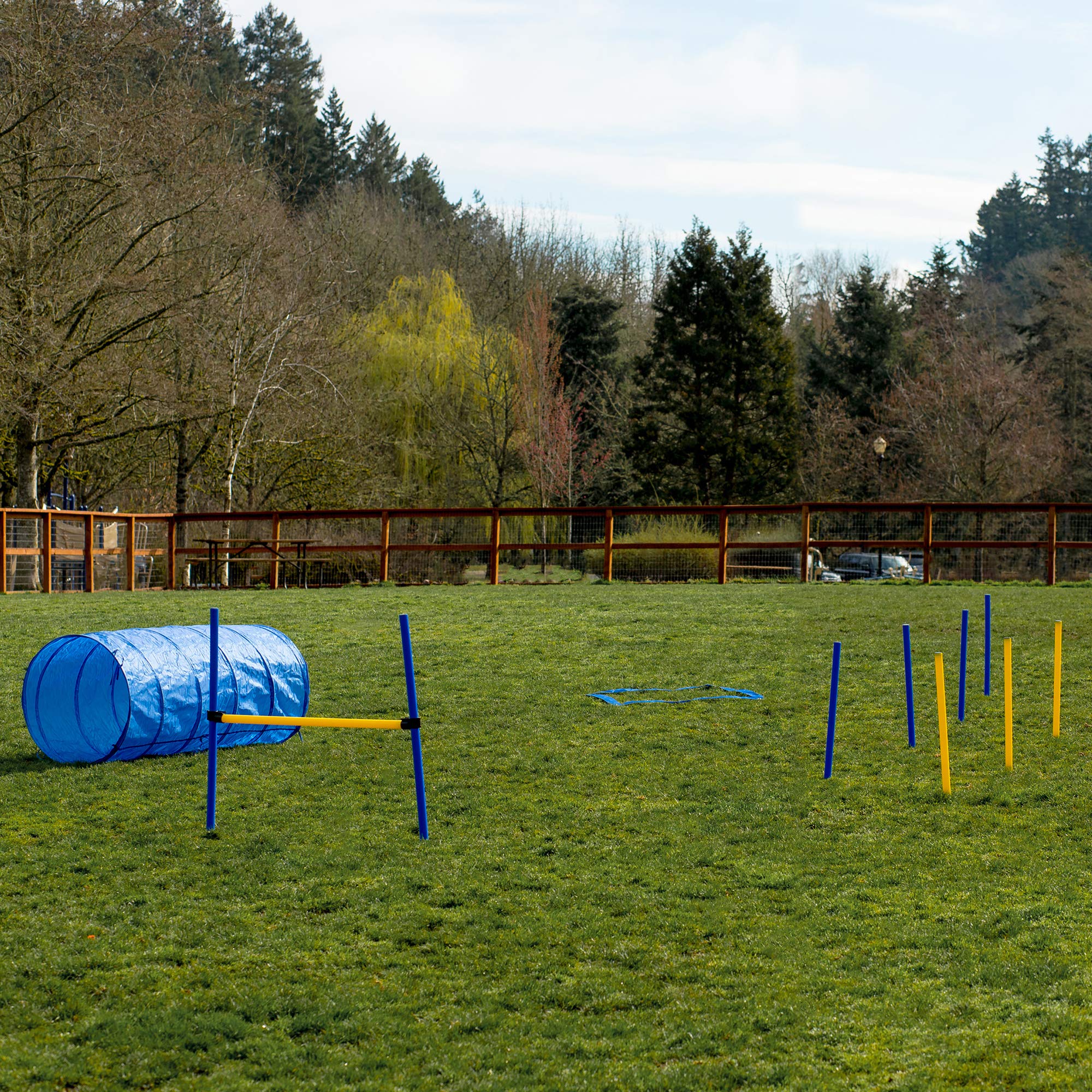 CHEERING PET Dog Agility Training Equipment, 28 Piece Dog Obstacle Course, Training and Interactive Play Includes Dog Tunnel, Adjustable Hurdles, Poles, Whistle, Rope Toy with Carrying Case  - Like New