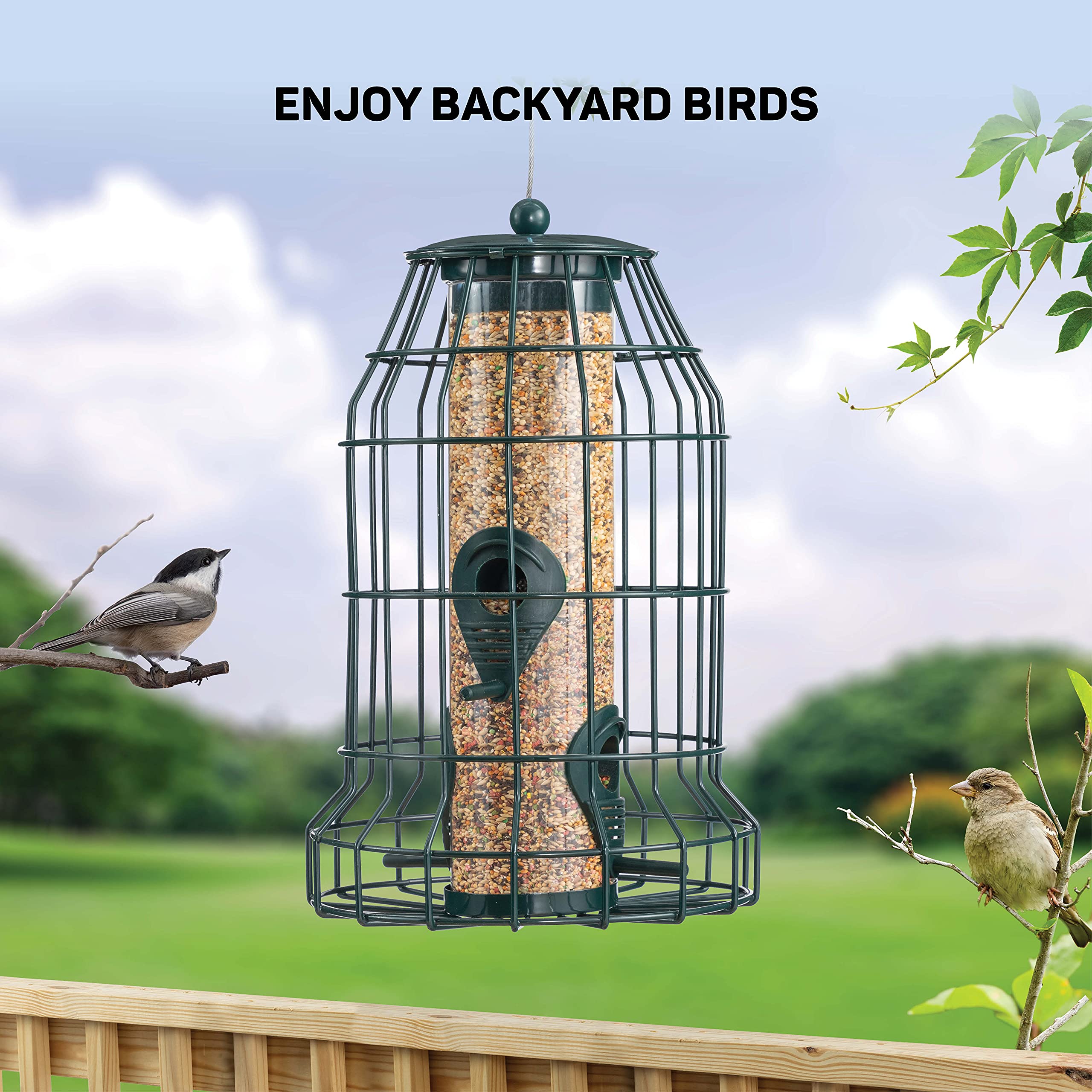 Squirrel Resistant Bird Feeders 22 oz. Bird Feeder with 4 Perches for Small Backyard Birds ONLY. Bird Feeder Squirrel Proof/Chew Proof/Rustproof. Fill with Wild Bird Seed for Outside Feeders - Like New
