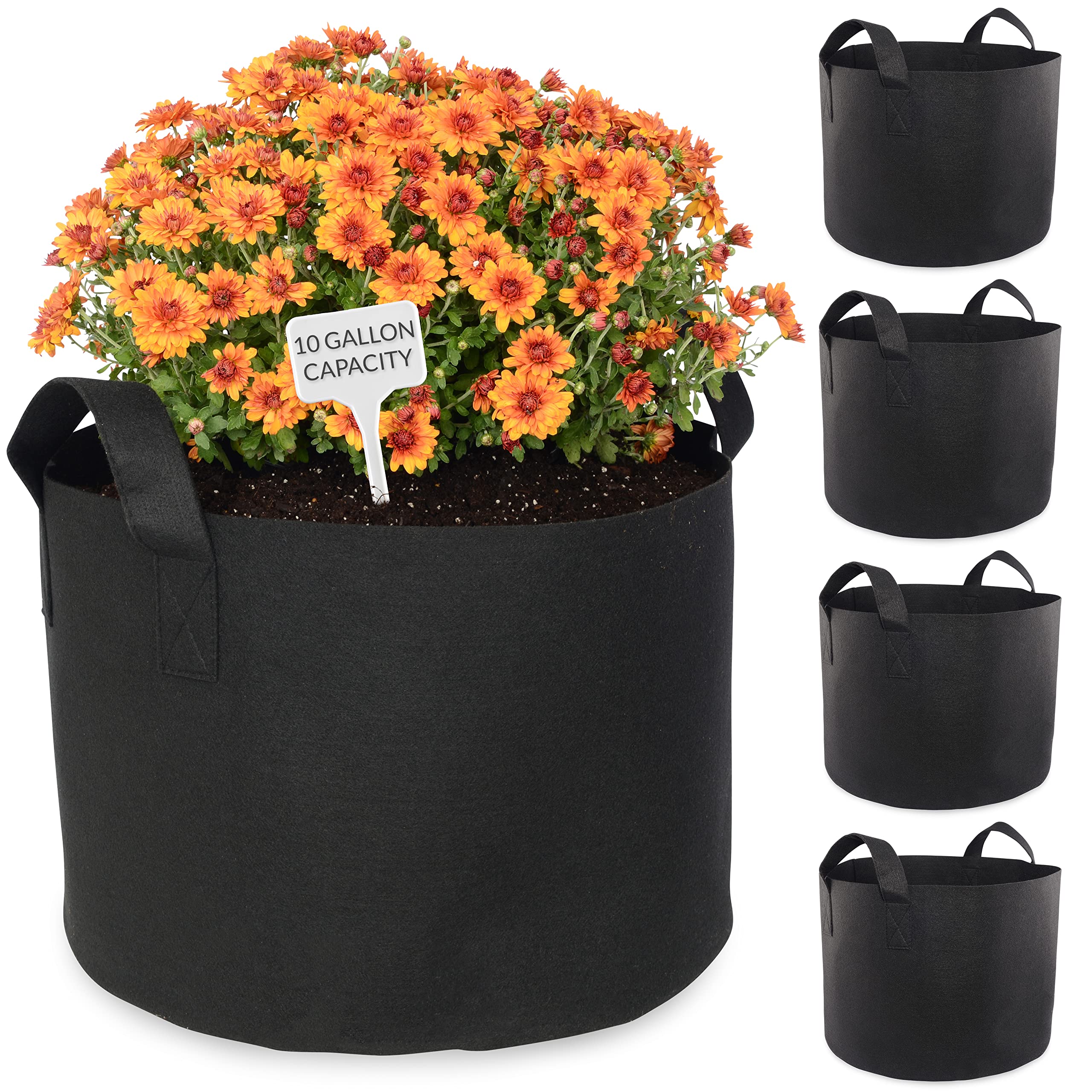 ZENPAC Plant Grow Bags Extra Large Fabric Pot with Handles - Like New