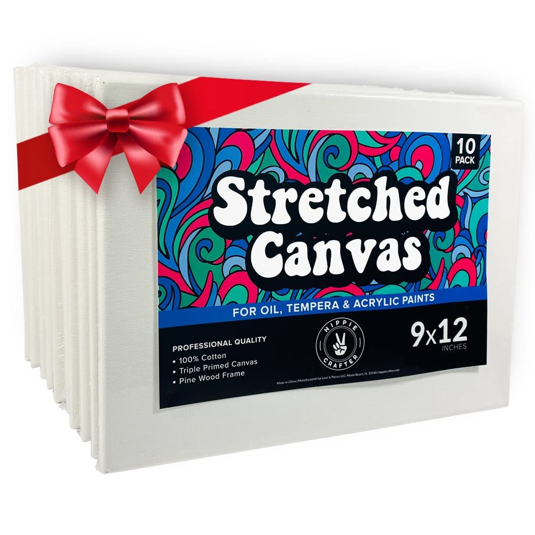 10 Pack Stretched Canvases for Painting 9x12 Blank Paint Canvases for Painting Supplies Painting Canvas Acrylic Paint, Oil Art Small Canvases for Painting Rectangle Art Canvases for Painting Bulk
