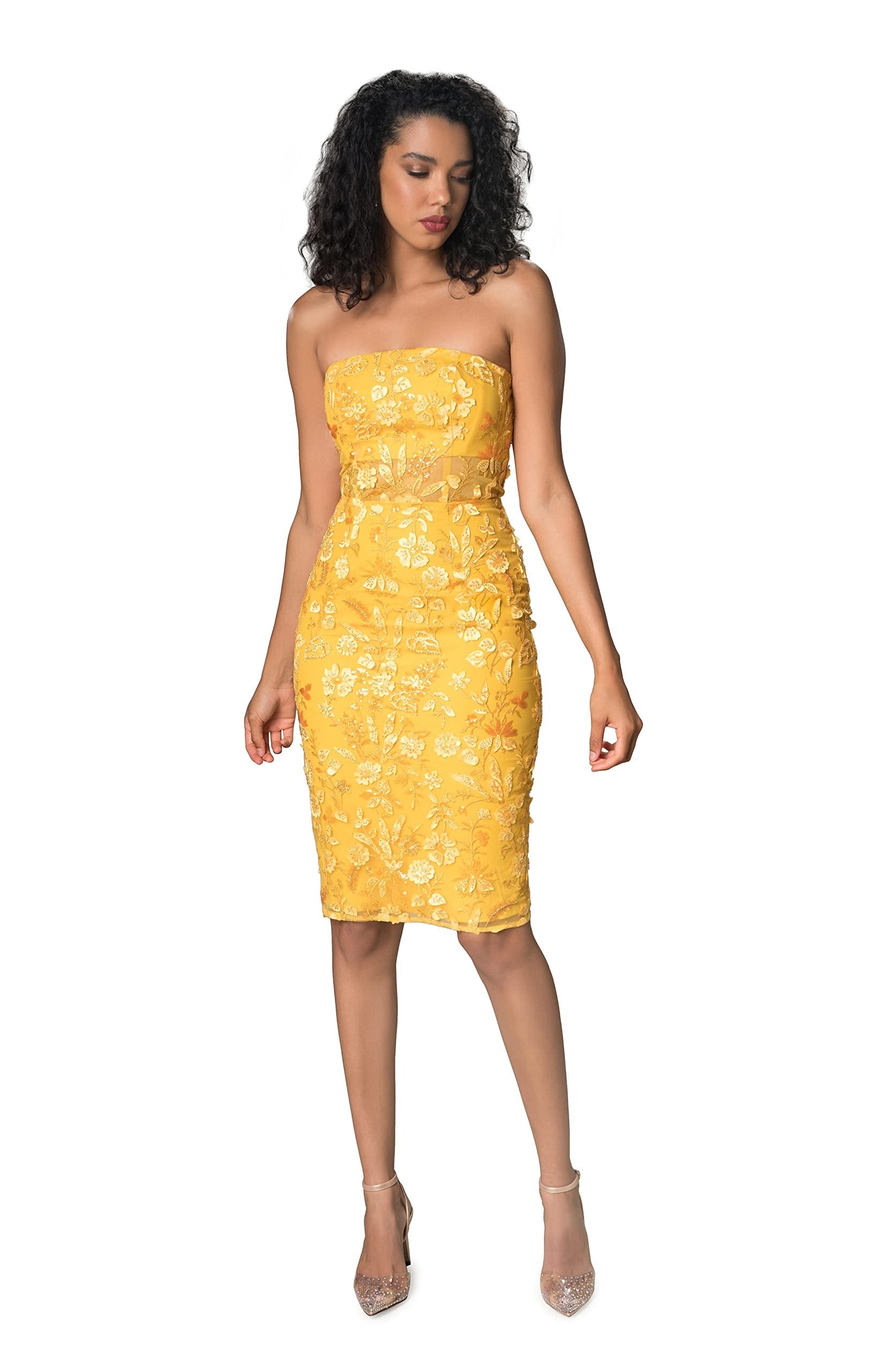 Dress the Population Women's Ynez Tulle, Midi, Bodycon, Square Neck Dr