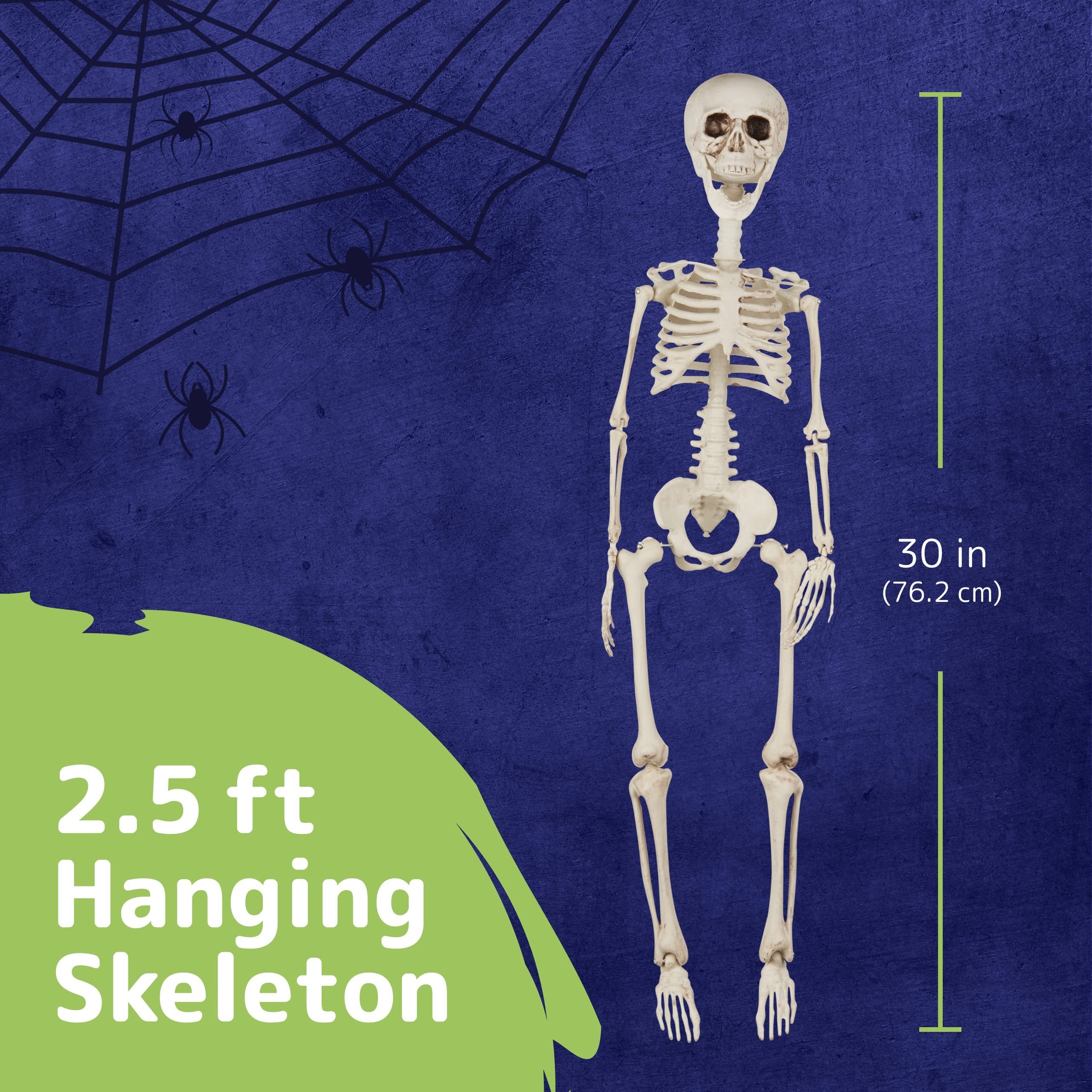 PREXTEX 30” Halloween Skeleton for Halloween Décor & Day of The Dead Décor - 2.5 ft Full Size Halloween Plastic Skeleton with Movable Joints for Best Halloween Skeletons Decoration - Indoor & Outdoor