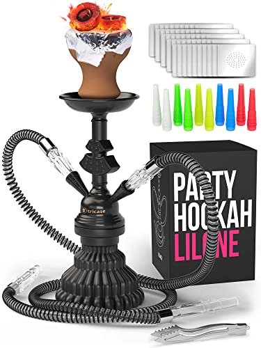 Portable 2 Hose Hookah Set - LilOne 12 Black Mini Hookah with 50x Foil & 10x Tips - Free Shipping