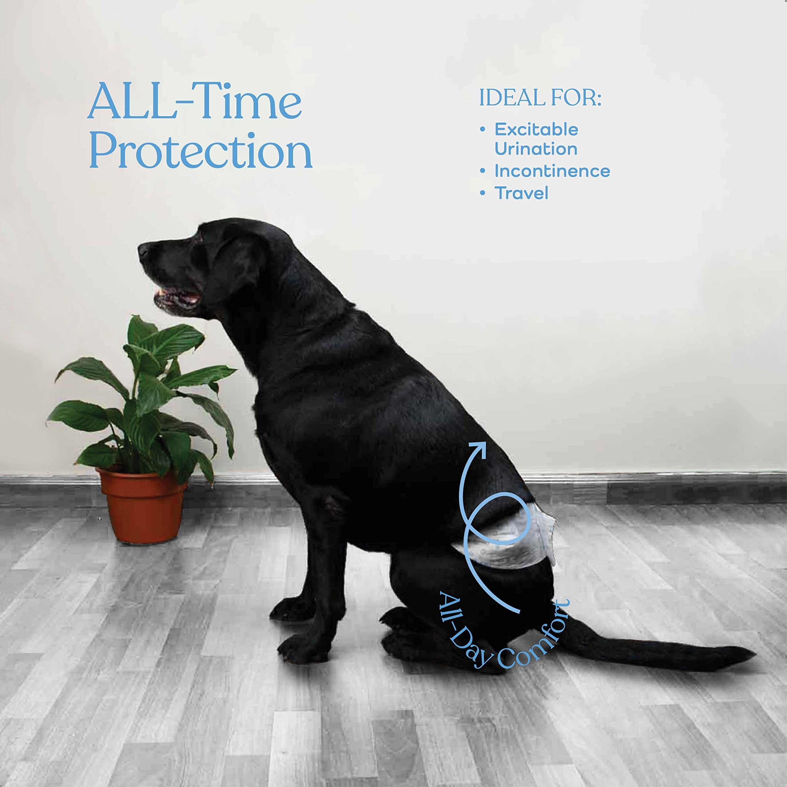 X-Large White Male Dog Diapers - 24-Pack for Incontinence & Excitable Urination - Super Absorbent with Wetness Indicator - Free Shipping