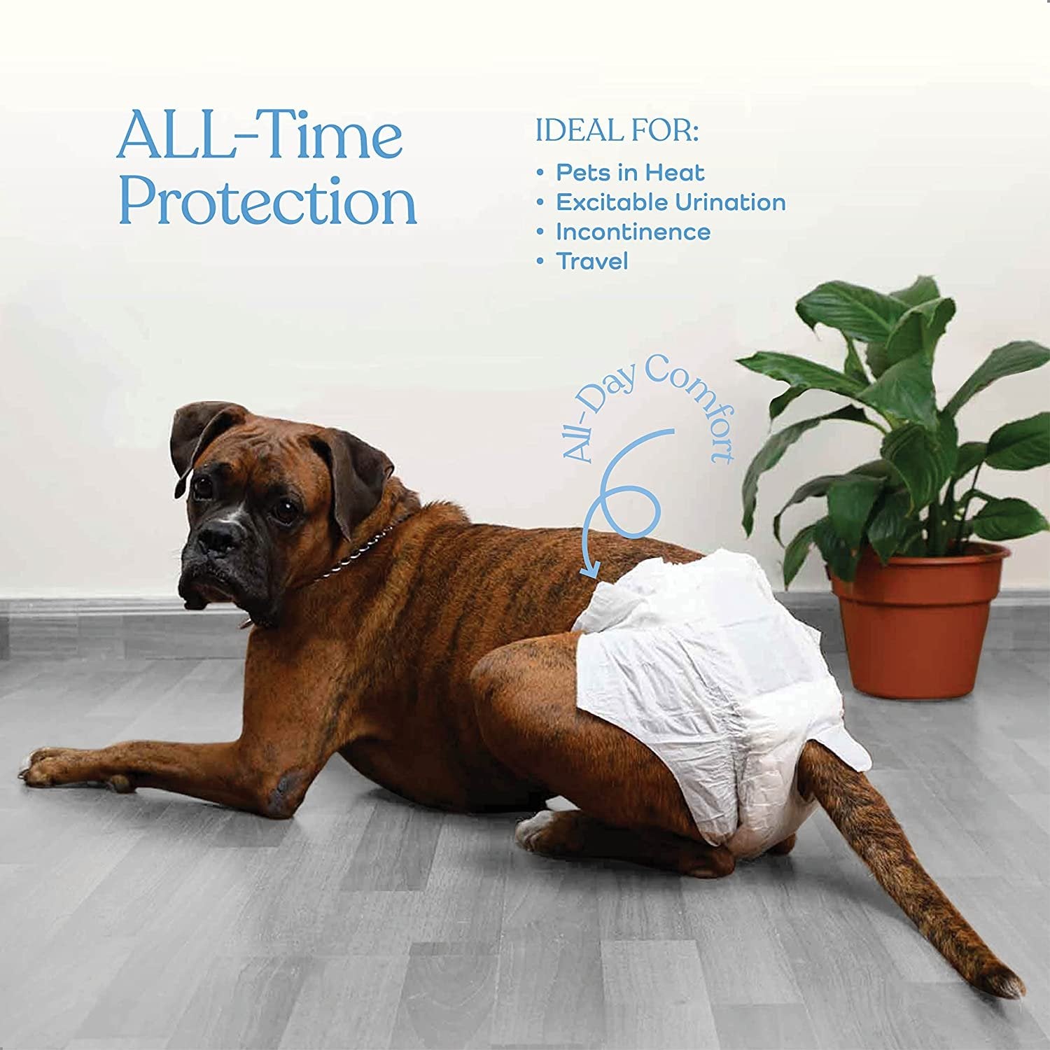 Comfortable Female Dog Diapers - 24-Pack Super Absorbent Disposable Doggie Diapers - FlashDry Gel Technology & Wetness Indicator - Leakproof Diapers for Dogs in Heat, Excitable Urination, Incontinence