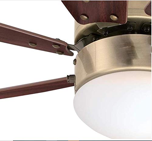 Ciata Lighting Turbo Swirl 30-Inch Ceiling Fan with Dimmable LED Light Fixture in Opal Frosted Glass  - Like New