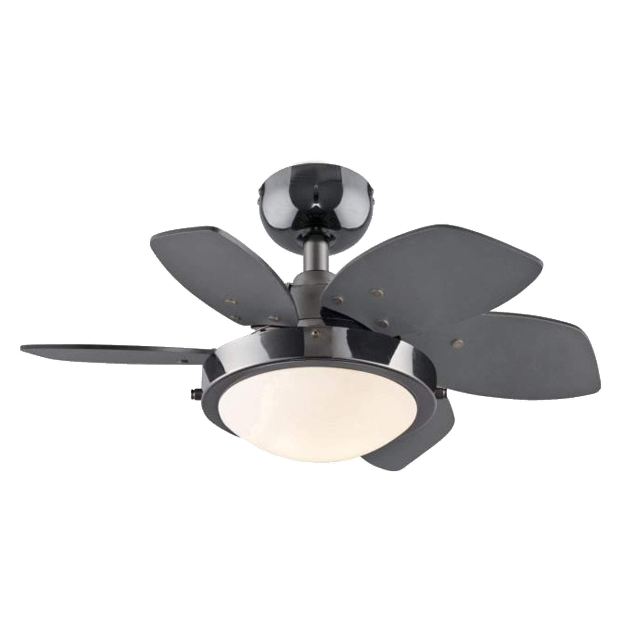 Ciata Small Ceiling Fan with Light, 24-Inch Quince Indoor Ceiling Fan in Gun Metal Finish with Dimmable LED Light Fixture in Opal Frosted Glass with Reversible Black/Graphite Blades  - Like New