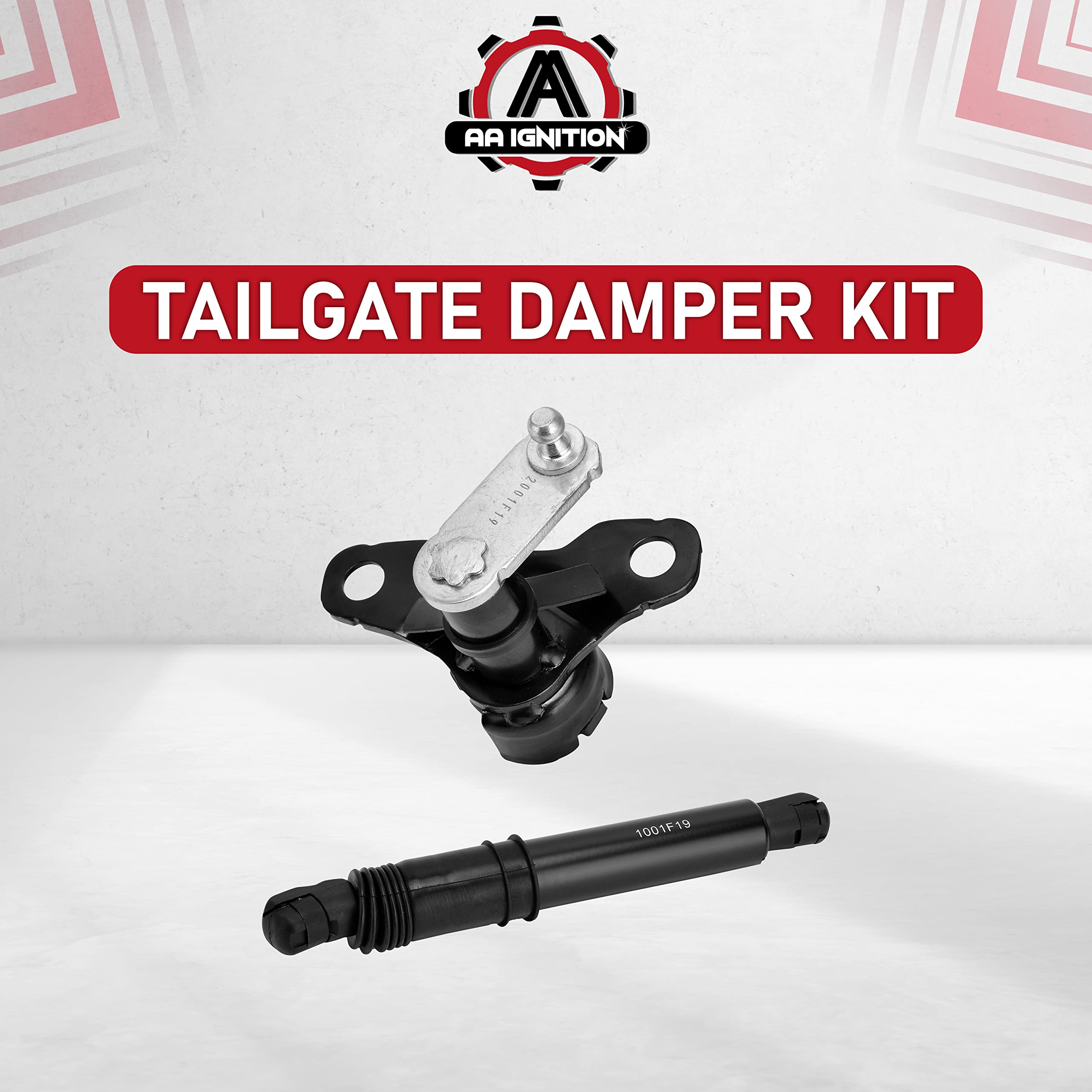 Tailgate Damper Kit - Compatible with Ford F-150 2015, 2016, 2017, 2018, 2019, F-150 Raptor 2017-2019 - Replaces FL3Z-99406A10-A, FL3Z99406A10A - Tail gate Assist Shock Strut - Lift Support Kit  - Like New