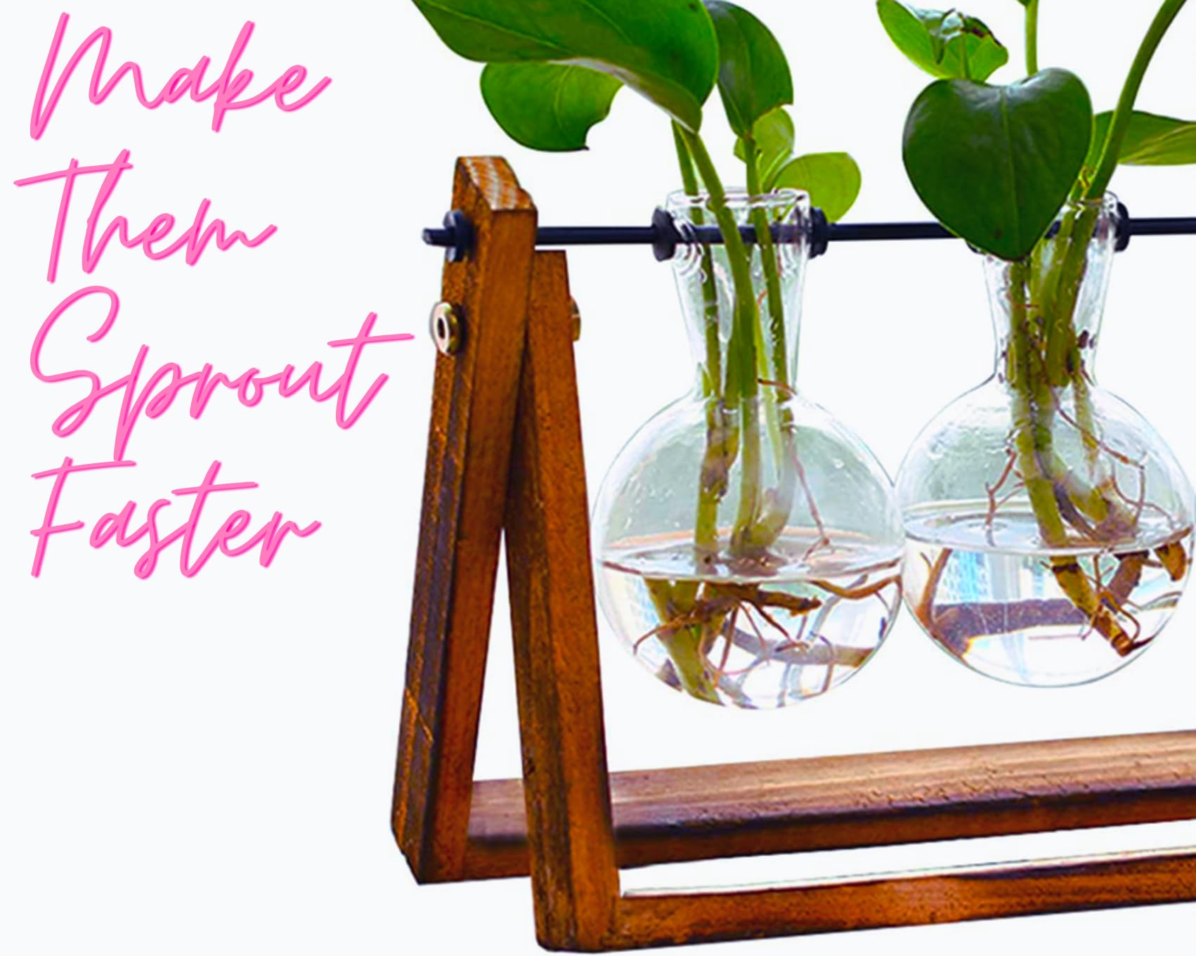 Plant Propagation Station Terrarium with Wooden Stand � Plant Terrarium Stand with 4 Glass Planters for Indoor Plants � Air Plant Holder for Women  - Good