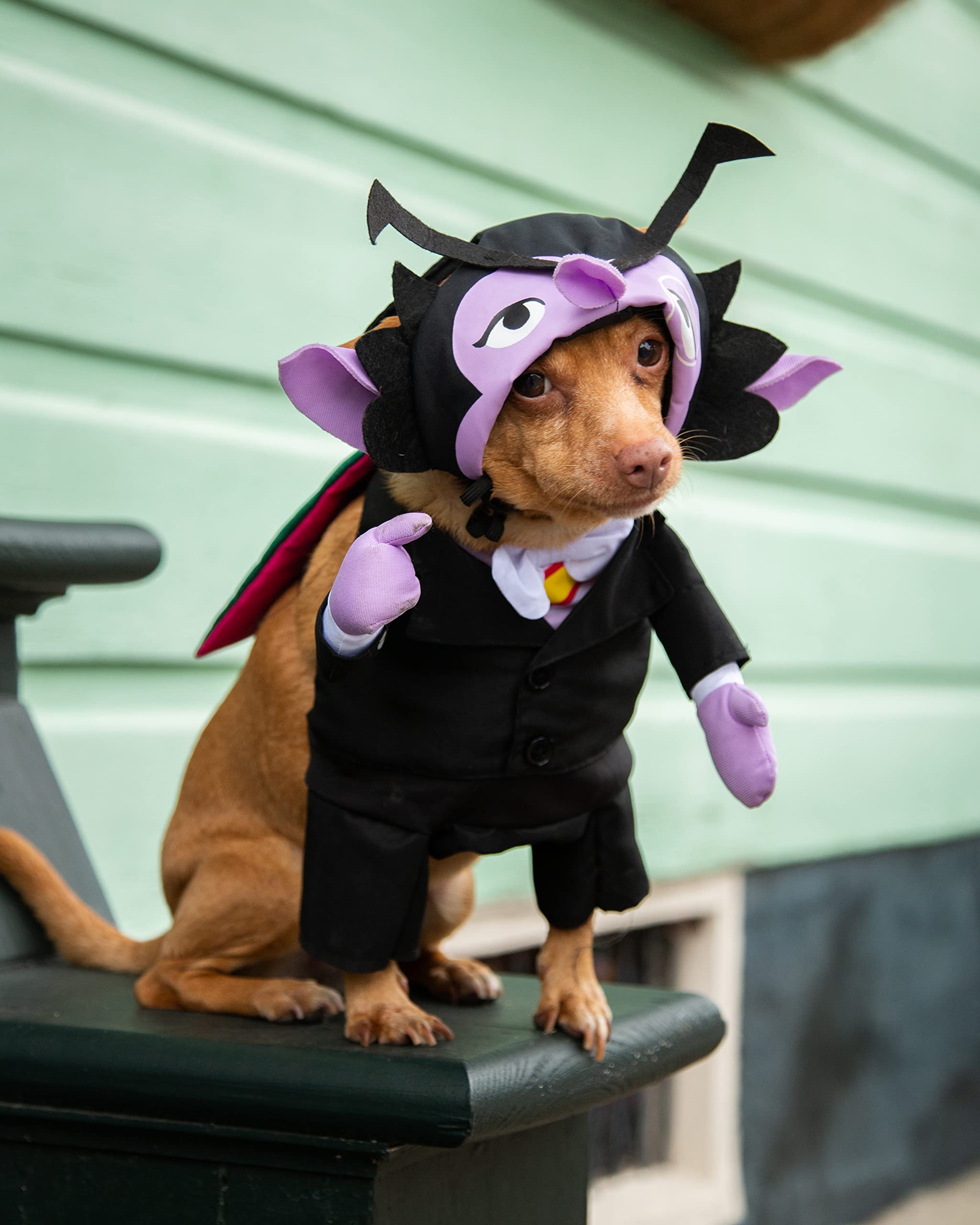 Pet Krewe The Count Vampire Dog Costume | Sesame Street Dracula Monster Pet Costumes for Dogs and Cats  - Like New