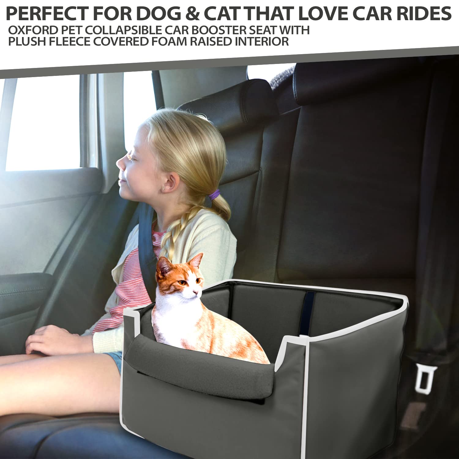 CO-PILOT Dog Car Seat, Foldable Dog Booster Seat for Small Dogs, Dog Car Harness  - Like New