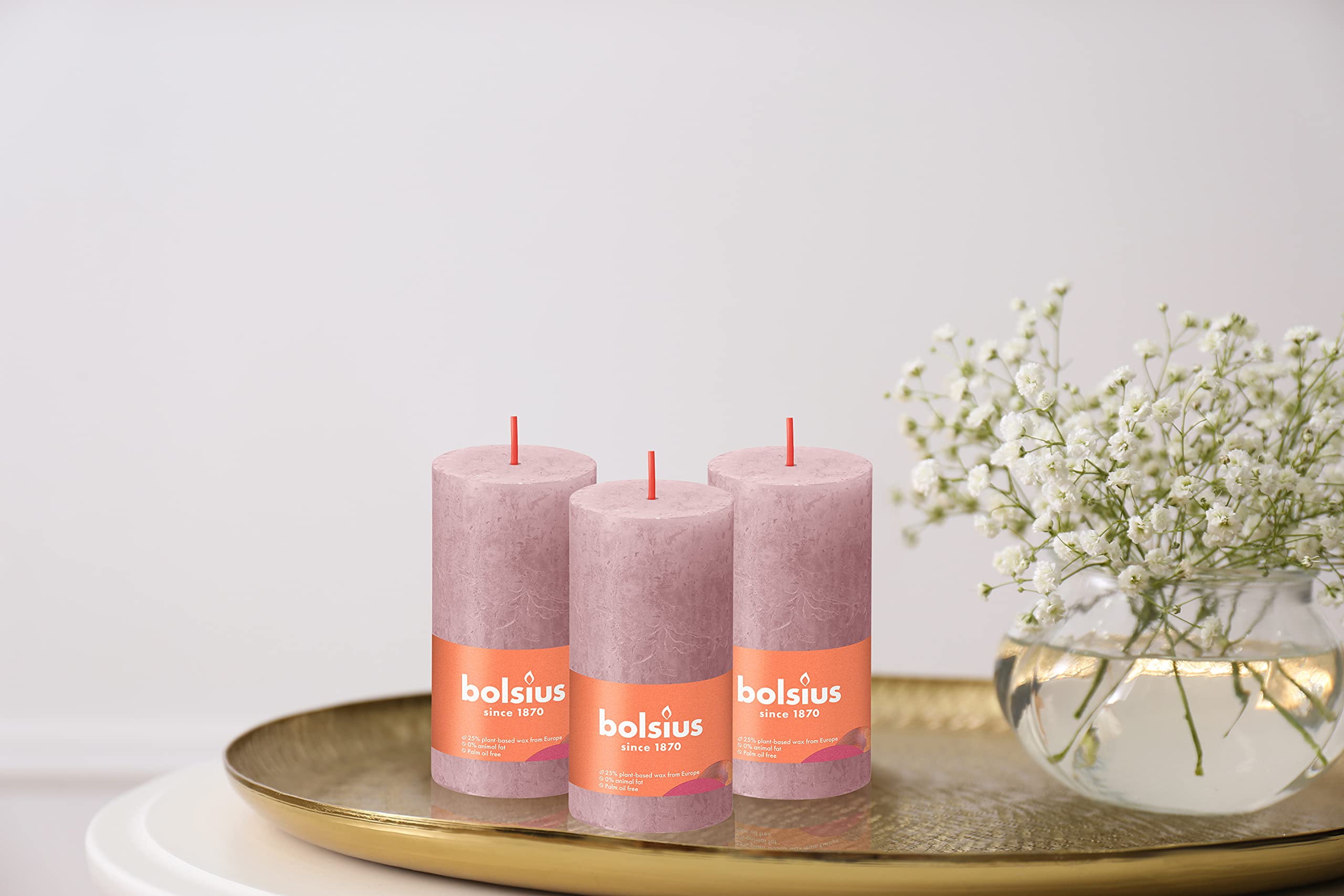 BOLSIUS 4 Pack Ash Rose Rustic Pillar Candles - 2 X 4 Inches - Premium European Quality - Includes Natural Plant-Based Wax - Unscented Dripless Smokeless 30 Hour Party D�cor and Wedding Candles  - Like New