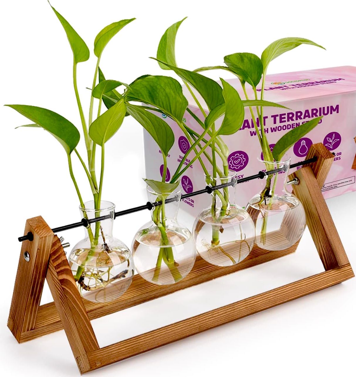 Plant Propagation Station Terrarium with Wooden Stand � Plant Terrarium Stand with 4 Glass Planters for Indoor Plants � Air Plant Holder for Women  - Good
