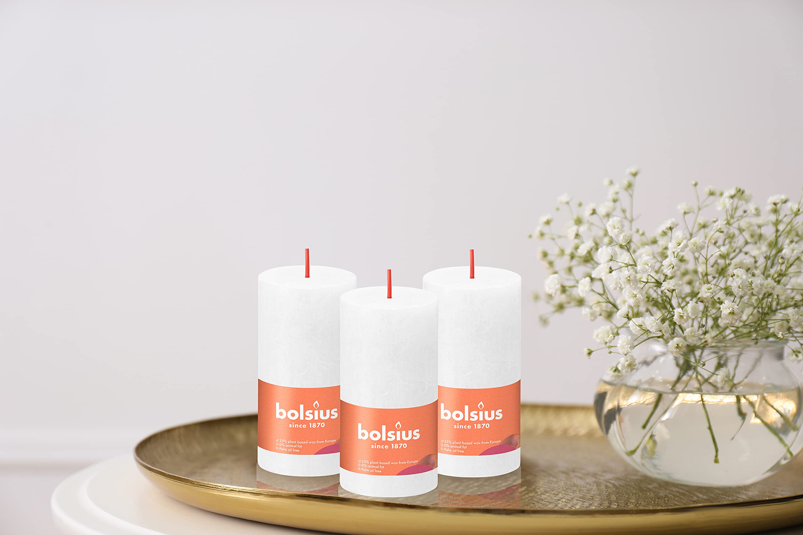 BOLSIUS 4 Pack Pillar Candles - 2 X 4 Inches - Premium European Quality - Natural Eco-Friendly Plant-Based Wax - Unscented Dripless Smokeless 30 Hour Party Décor and Wedding Candles  - Like New
