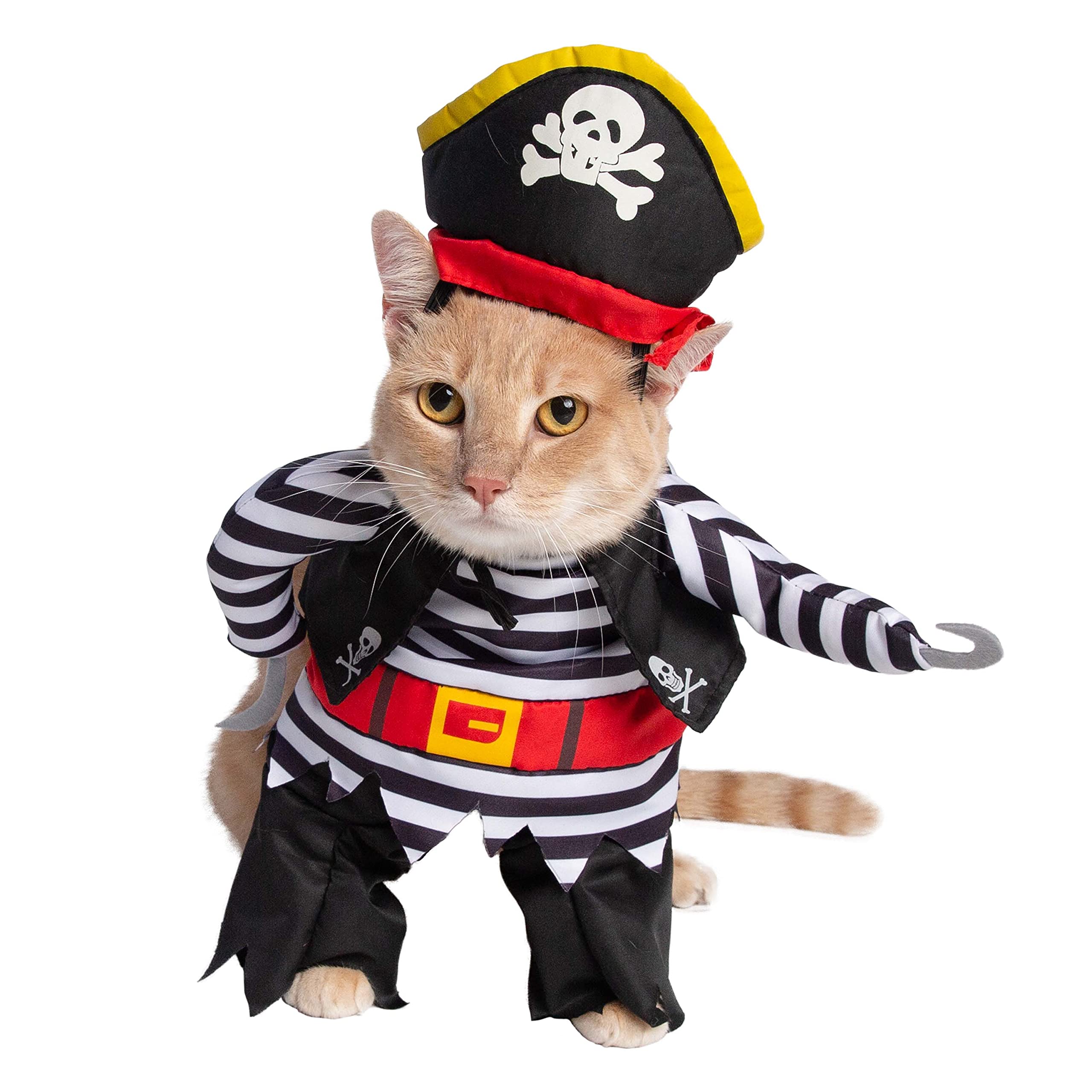 Pet Krewe Dog Pirate Costume | Pet Costume with Arms, Pirate Hat, Tunic and Cape -Perfect for Christmas Holiday, Parties, Photoshoots, Gifts for Dog Lovers | Small/Medium/Large/X-Large  - Like New