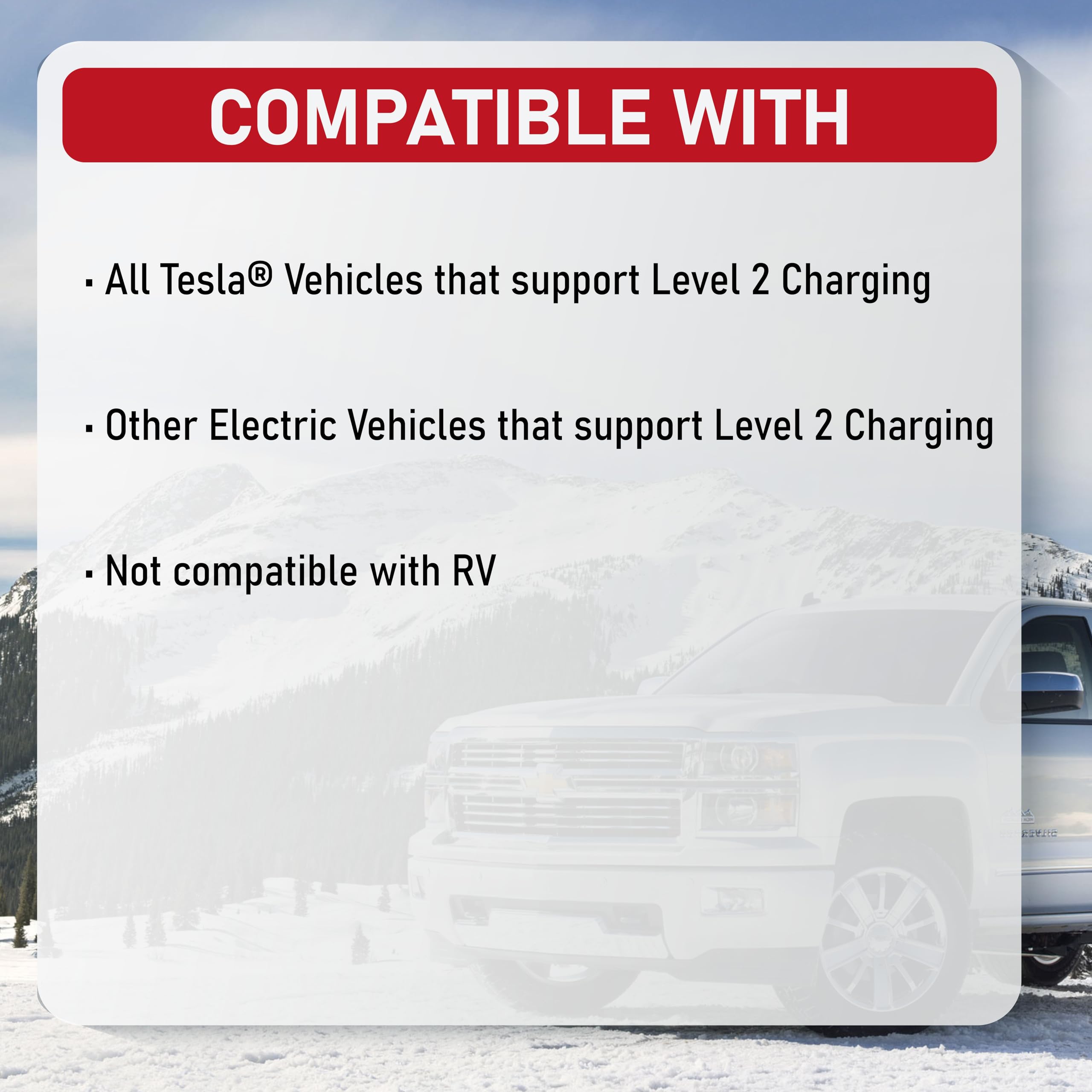 Power Cords - RV Tesla  - Like New