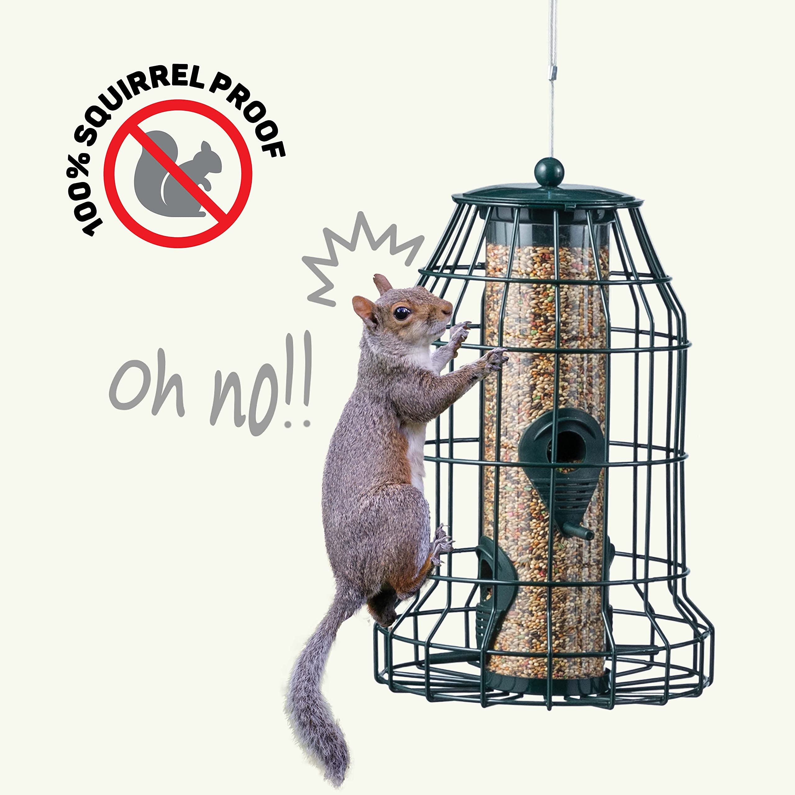 Squirrel Resistant Bird Feeders 22 oz. Bird Feeder with 4 Perches for Small Backyard Birds ONLY. Bird Feeder Squirrel Proof/Chew Proof/Rustproof. Fill with Wild Bird Seed for Outside Feeders  - Like New