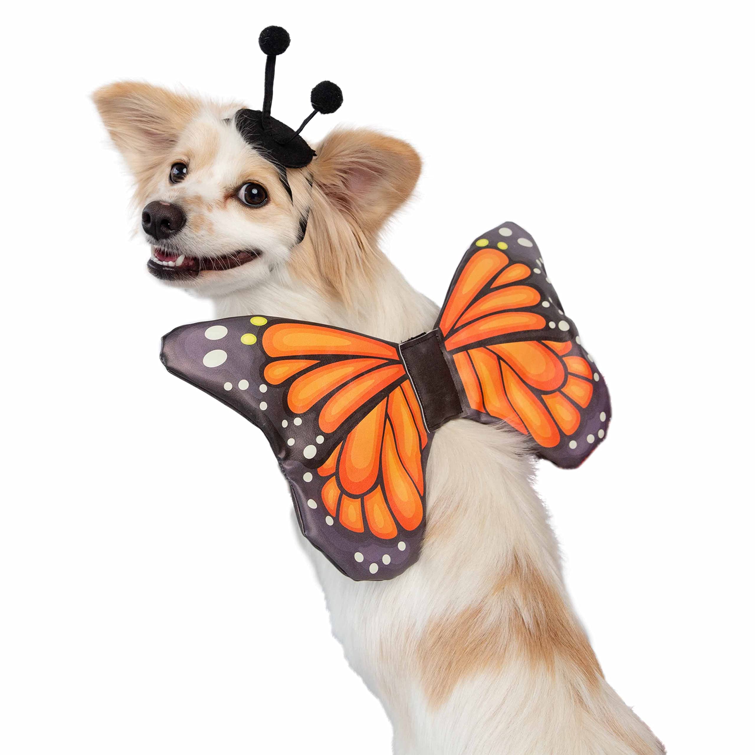 Pet Krewe Butterfly Dog Costume & Cat Costume - Butterfly Wings Costume for Pets - Harness Attachment, One Size Fits All - Perfect for Halloween, Christmas Holiday, Parties,Gifts for Dog & Cat Lovers  - Like New