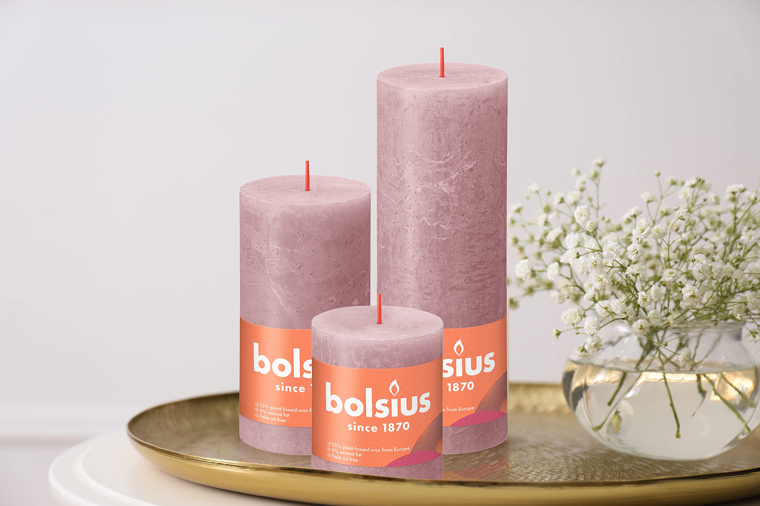 BOLSIUS 4 Pack Ash Rose Rustic Pillar Candles - 2.75 X 3.25 Inches - Premium European Quality - Includes Natural Plant-Based Wax - Unscented Dripless Smokeless 35 Hour Party and Wedding Candles  - Like New