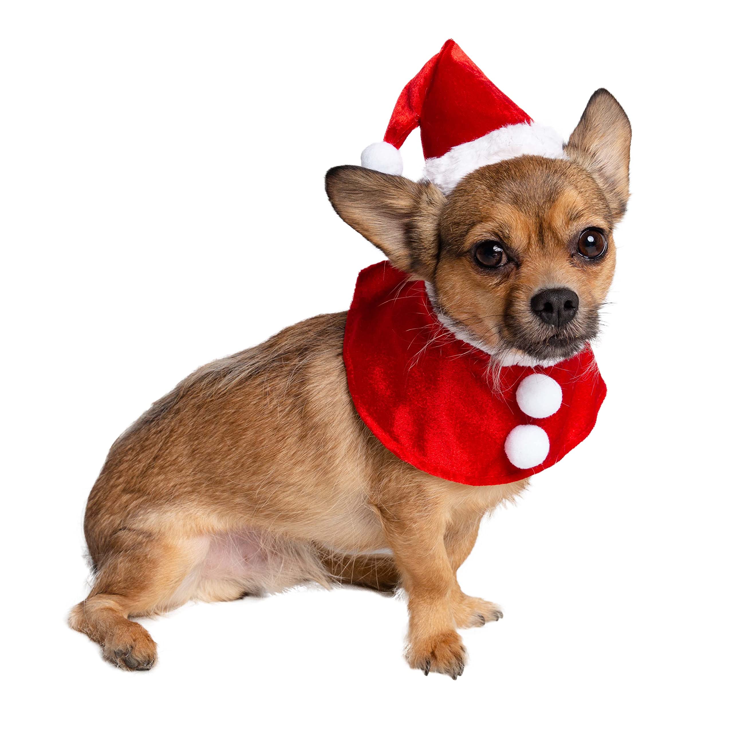 Pet Krewe Christmas Santa Dog Costume - Large Hat and Collar Set for Xmas Holiday Fun! - Perfect for Halloween, Parties, Photoshoots, Gifts for Dog Lovers  - Like New