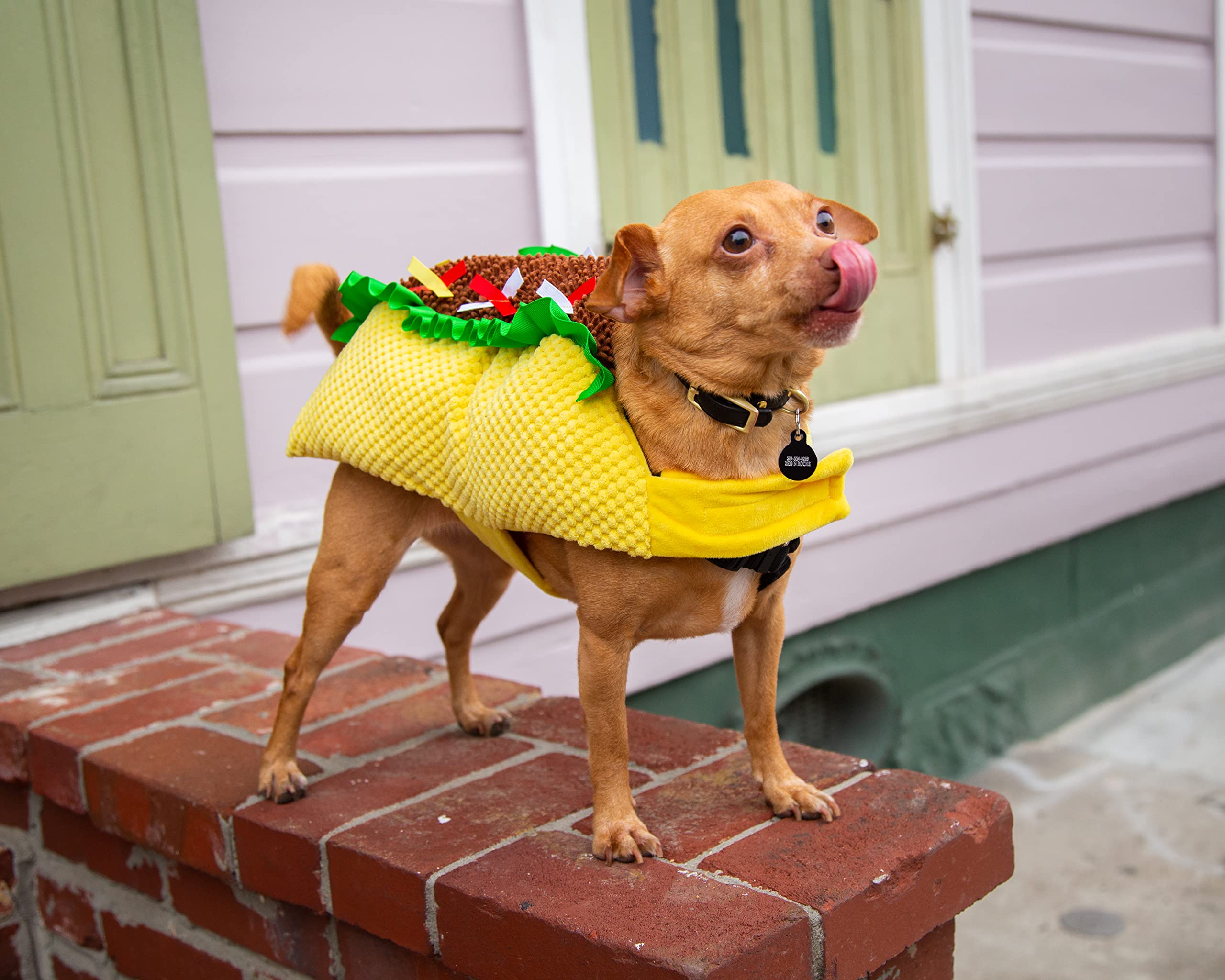 Pet Krewe Dog Taco Costume  - Like New