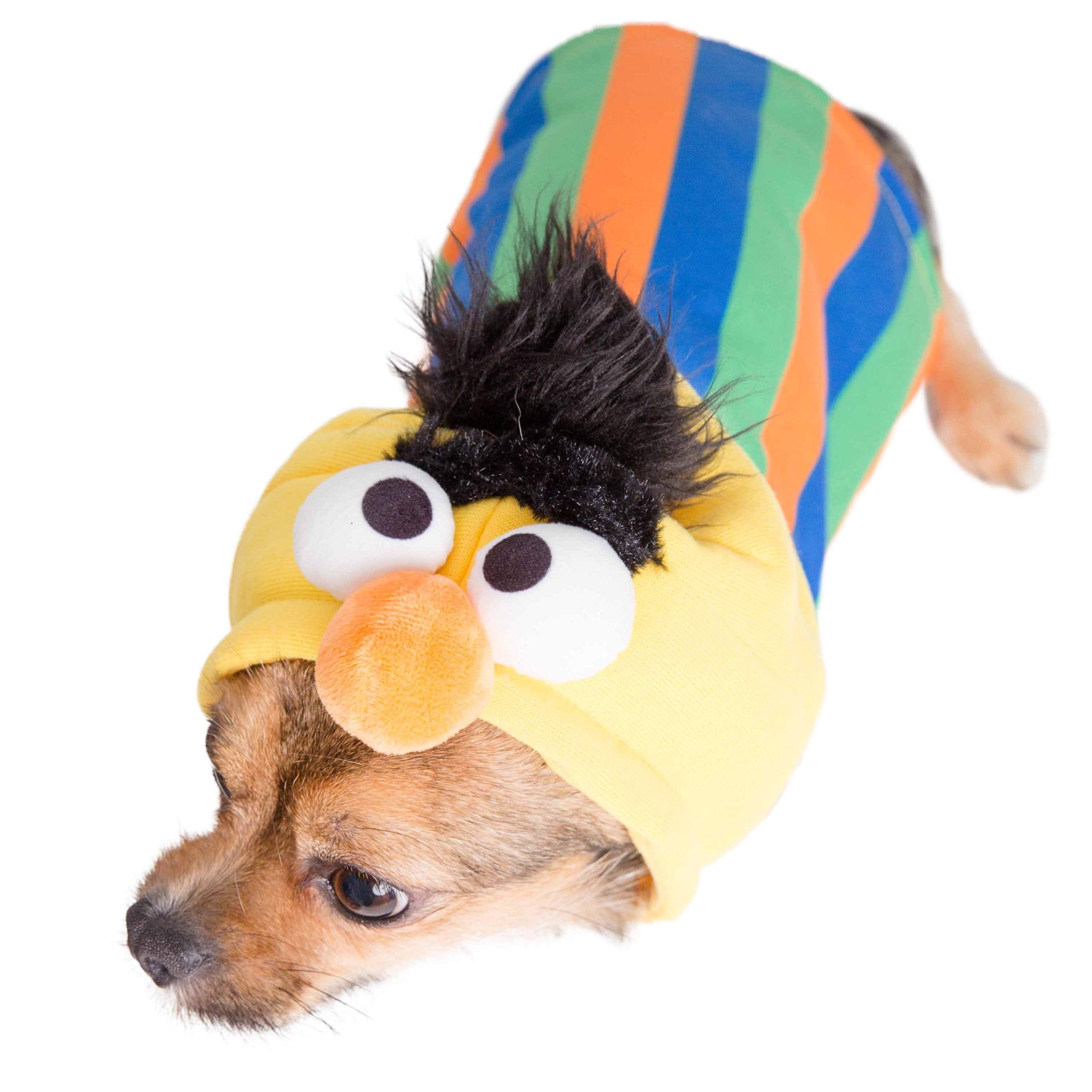 Pet Krewe Bert Costume - Sesame Street Bert Dog Costume - Fits Small, Medium, Large and Extra Large Pets - Perfect for Halloween, Christmas Holiday, Parties, Photoshoots, Gifts for Dog Lovers  - Like New