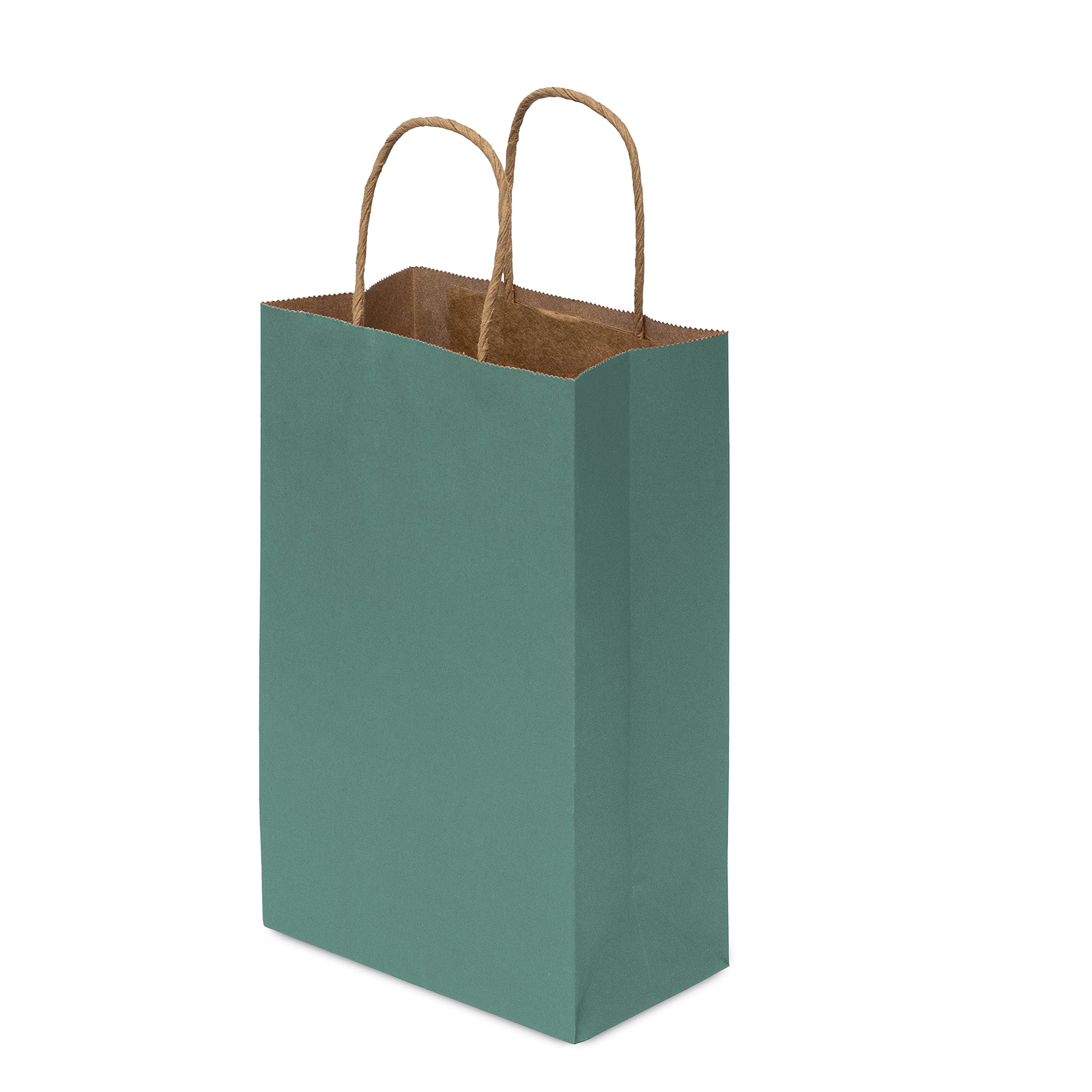 Green Gift Bags - 6x3x9 Inch 100 Pack Small Kraft Paper Shopping Bags with Handles, Craft Totes in Bulk for Boutiques, Small Business, Retail Stores, Birthday Parties, Jewelry, Merchandise, Bulk  - Like New