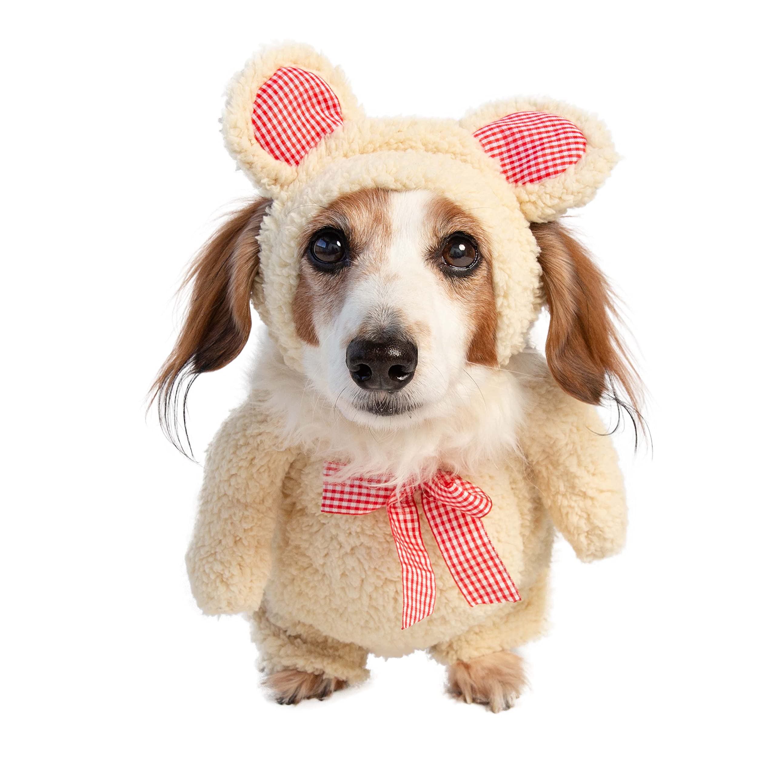 Pet Krewe Walking Teddy Bear Dog Costume - Fits Small, Medium, Large and Extra Large Pets - Perfect for Halloween, Christmas Holiday, Parties, Photoshoots, Gifts for Dog Lovers  - Like New