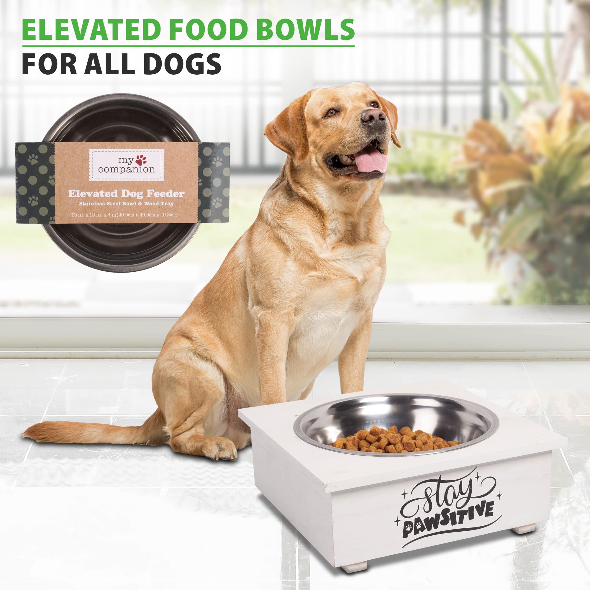 Pet Bowl with Stand Single- Food Bowls for All Dogs with Wooden Stand | Water Feeder with Stainless Steel Feet Tray  - Like New