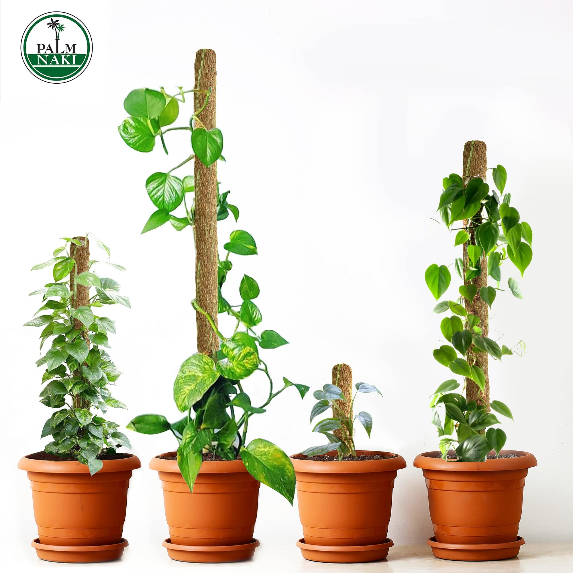 money plant climber stick PALM NAKI Coconut Coir Totem Pole Plant Support Set of 4- Coco Coir Ve