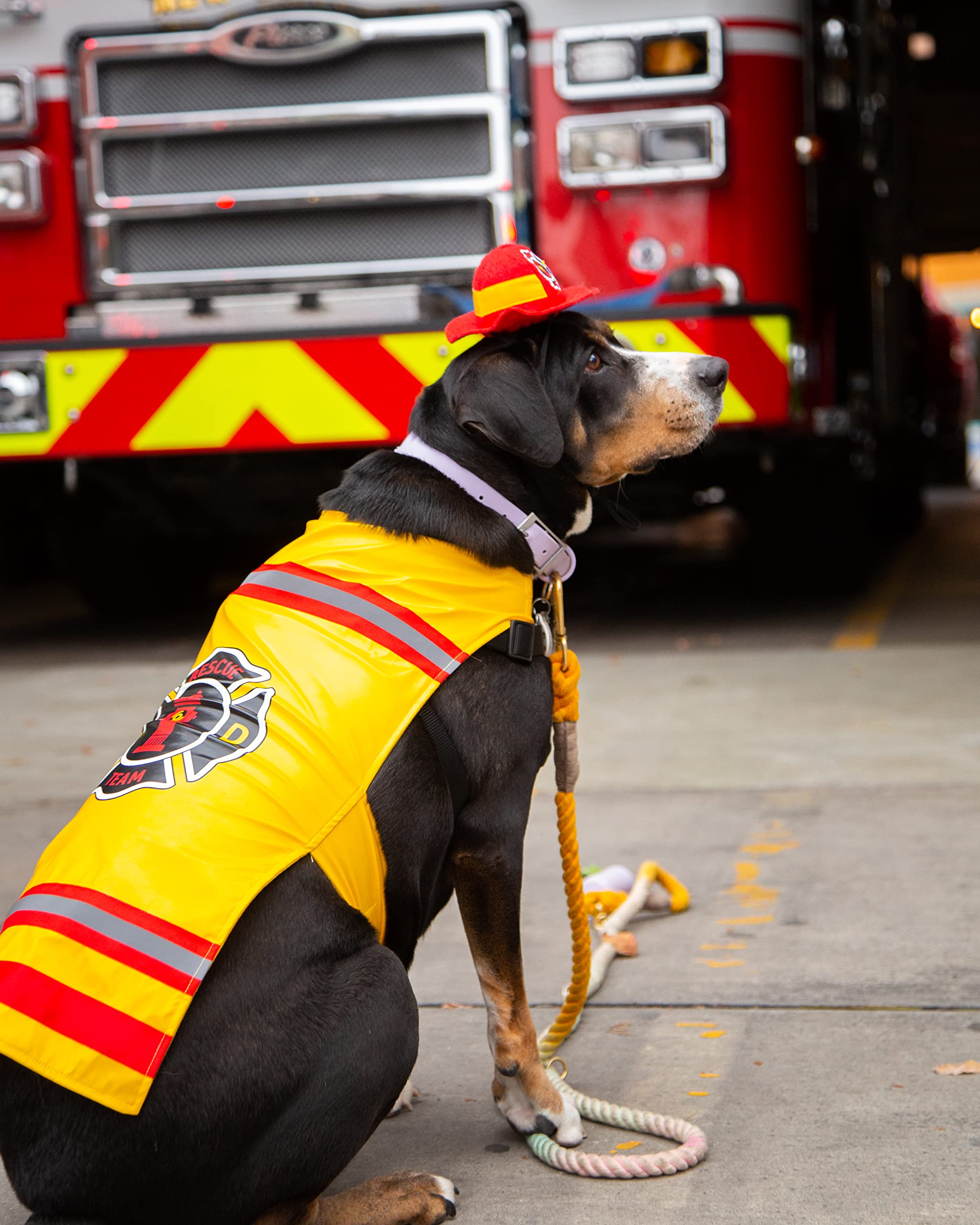 Pet Krewe Dog Firefighter Costume - Funny Halloween Pet Fireman Outfit Costumes for Small, Medium, Large Cats and Dogs.  - Like New