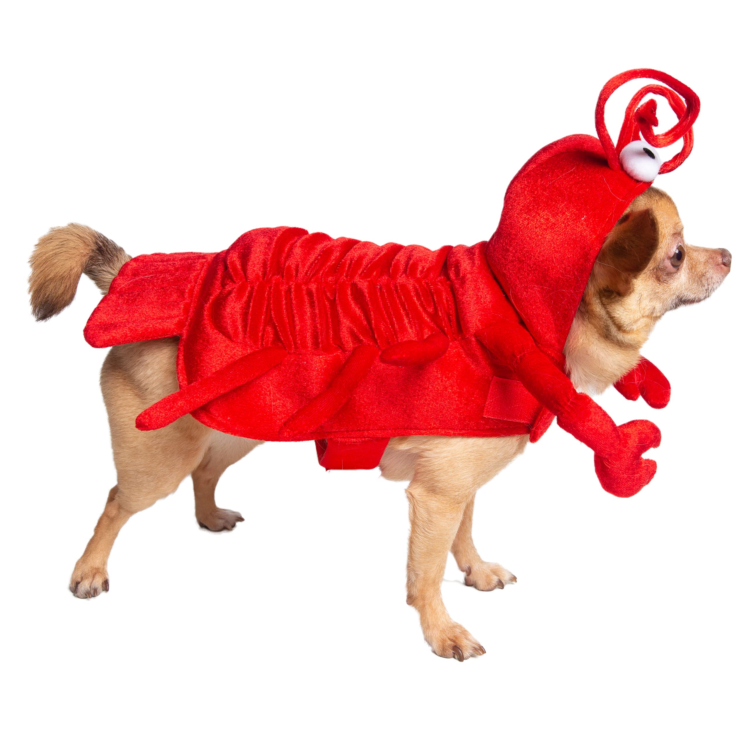 Pet Krewe Dog Lobster Costume | Fish Pet Costume for Dogs 1st Birthday, National Cat Day & Celebrations | Halloween Outfit for Small, Medium, Large & XL Cats & Dogs  - Like New