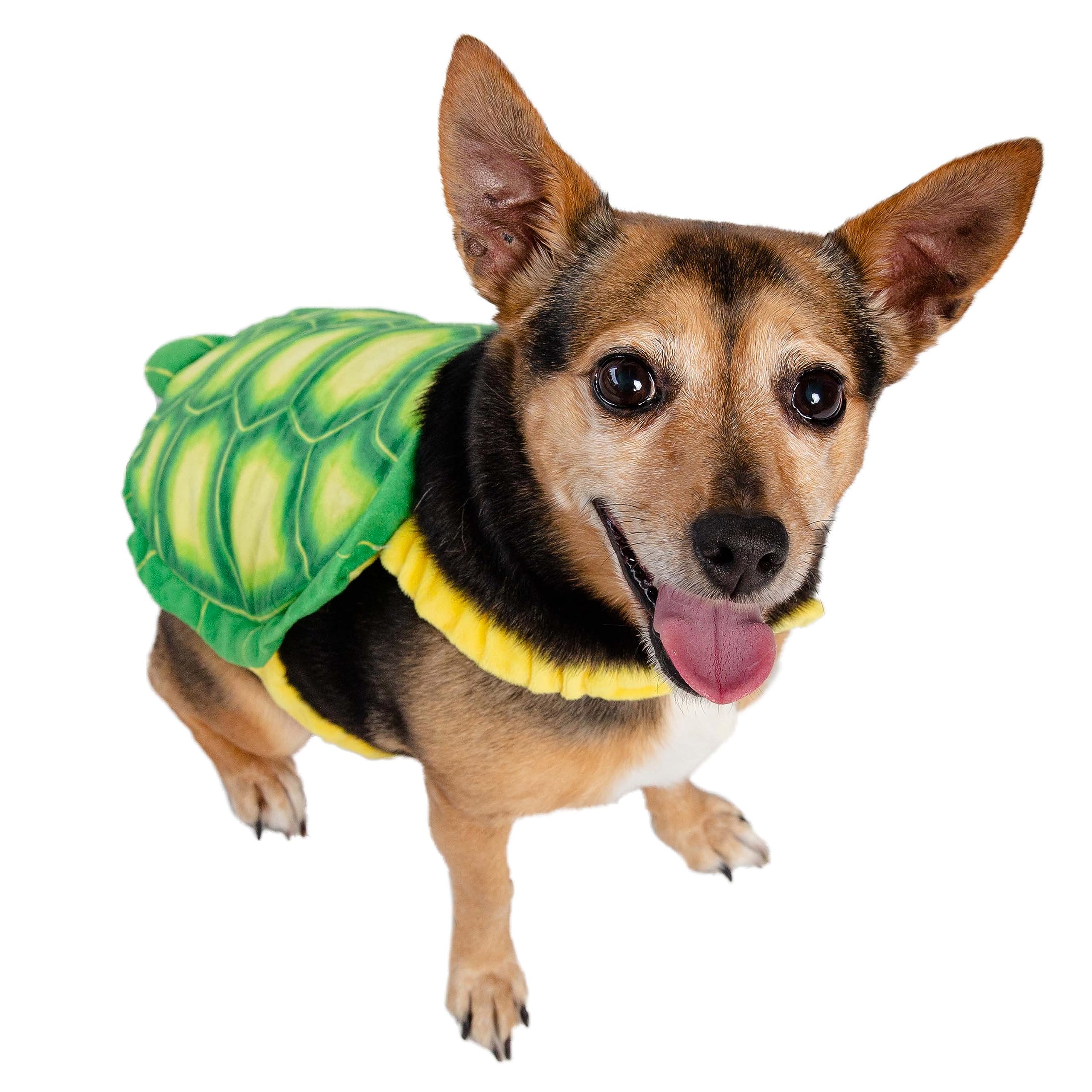 Pet Krew Turtle Dog Costume  - Like New