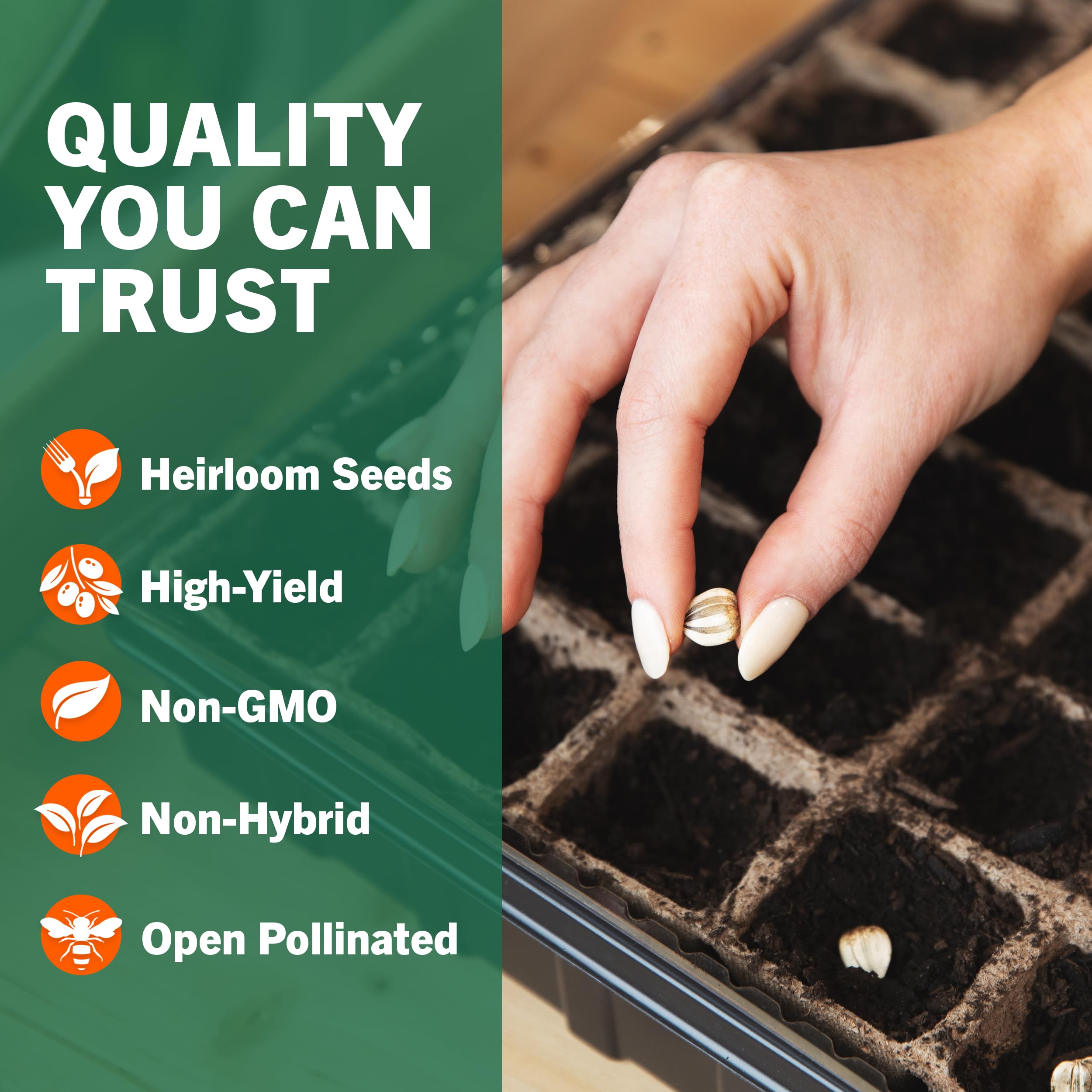 non hybrid garden seeds Open Seed Vault 15,000 Non GMO Heirloom Vegetable Seeds Survival Garden 32 Variety Pack
