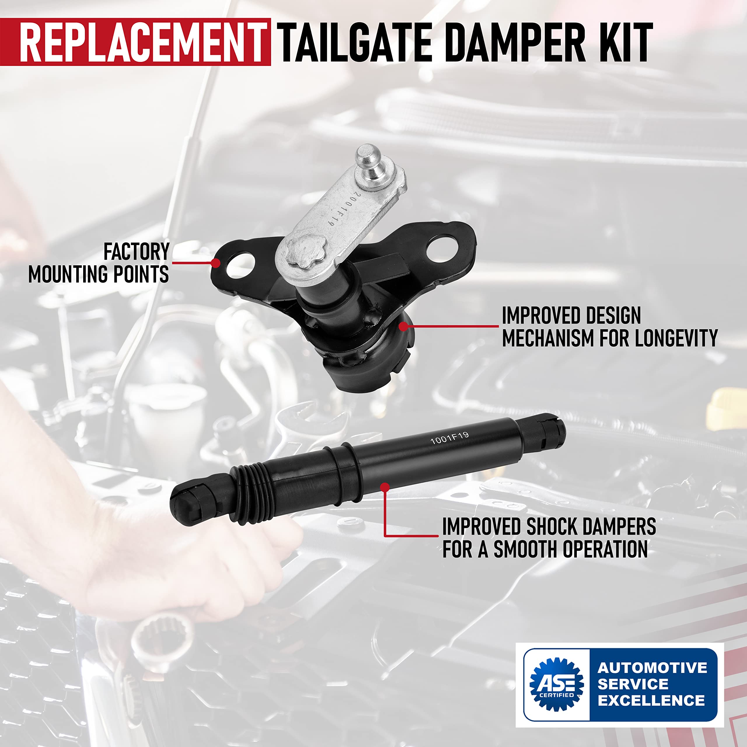 Tailgate Damper Kit - Compatible with Ford F-150 2015, 2016, 2017, 2018, 2019, F-150 Raptor 2017-2019 - Replaces FL3Z-99406A10-A, FL3Z99406A10A - Tail gate Assist Shock Strut - Lift Support Kit  - Like New