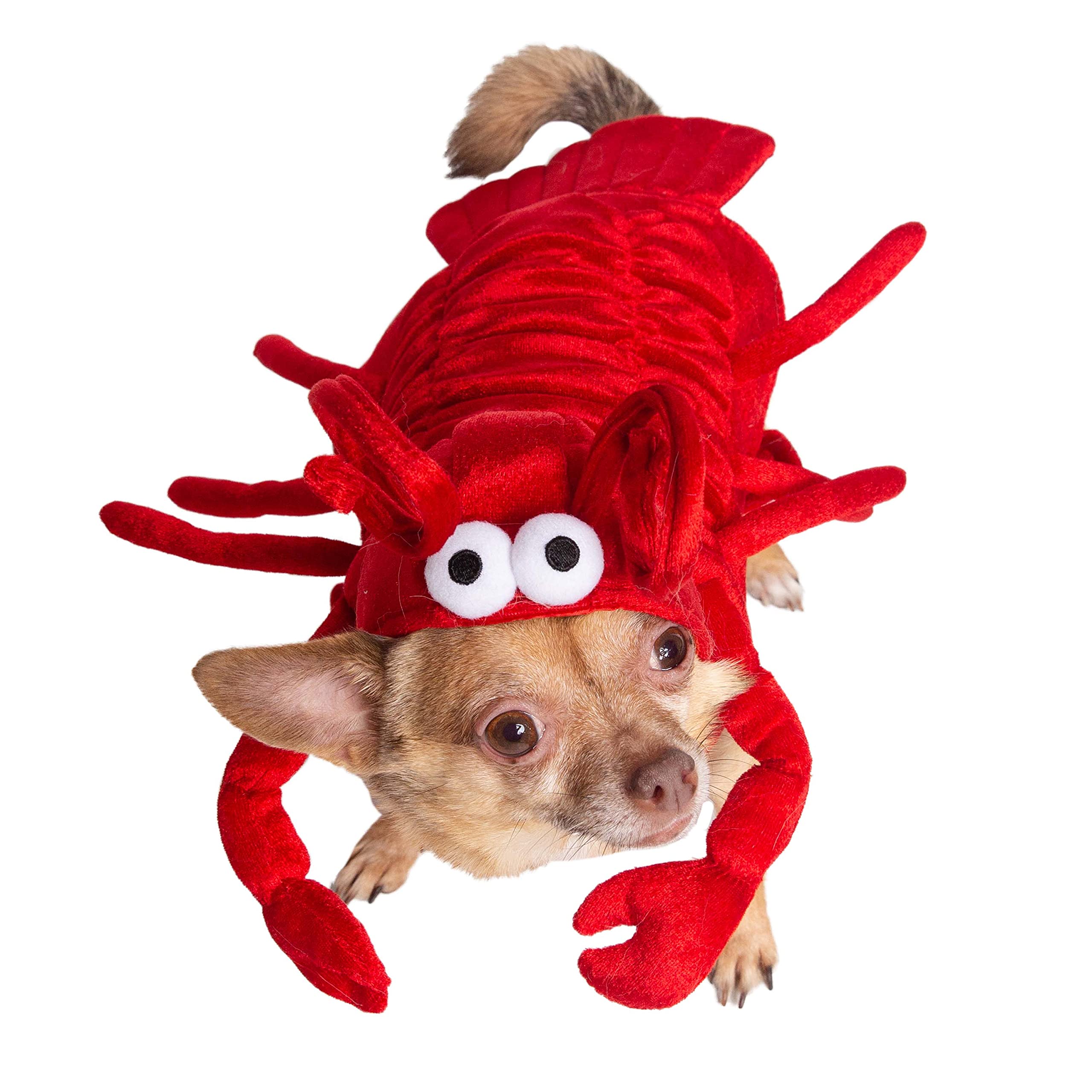 Pet Krewe Dog Lobster Costume | Fish Pet Costume for Dogs 1st Birthday, National Cat Day & Celebrations | Halloween Outfit for Small, Medium, Large & XL Cats & Dogs  - Like New