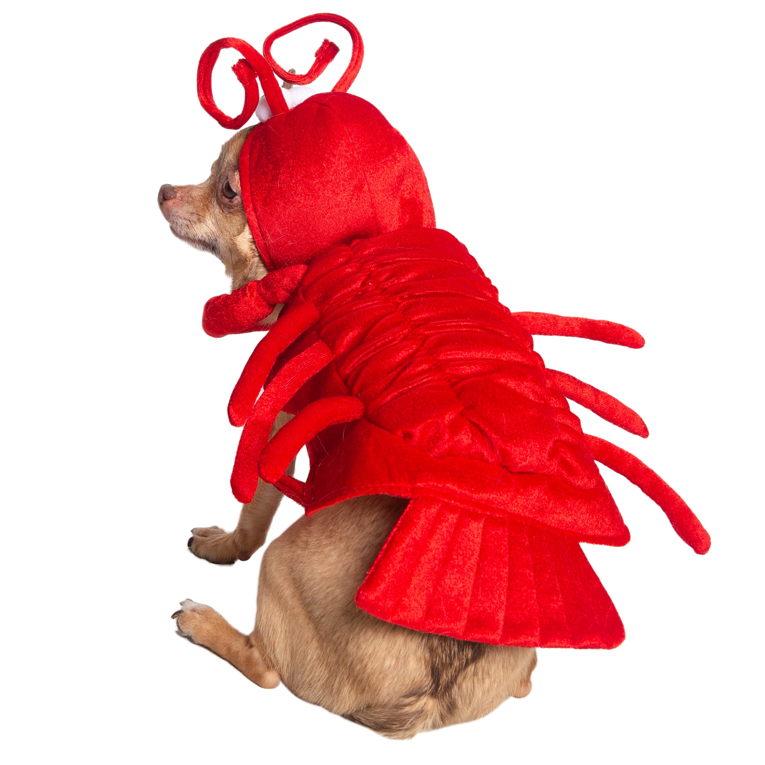 Pet Krewe Dog Lobster Costume | Fish Pet Costume for Dogs 1st Birthday, National Cat Day & Celebrations | Halloween Outfit for Small, Medium, Large & XL Cats & Dogs  - Like New