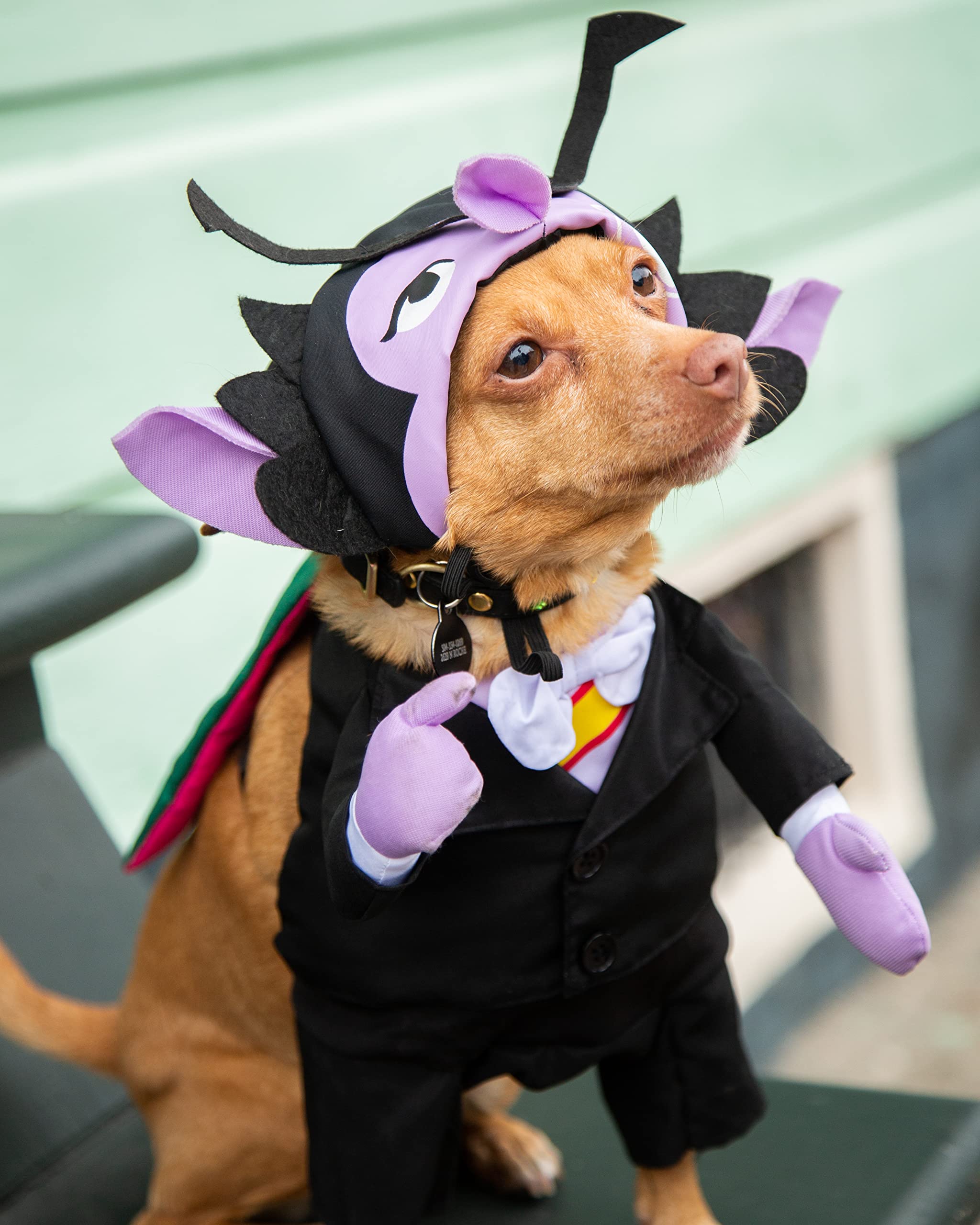 Pet Krewe The Count Vampire Dog Costume | Sesame Street Dracula Monster Pet Costumes for Dogs and Cats  - Like New